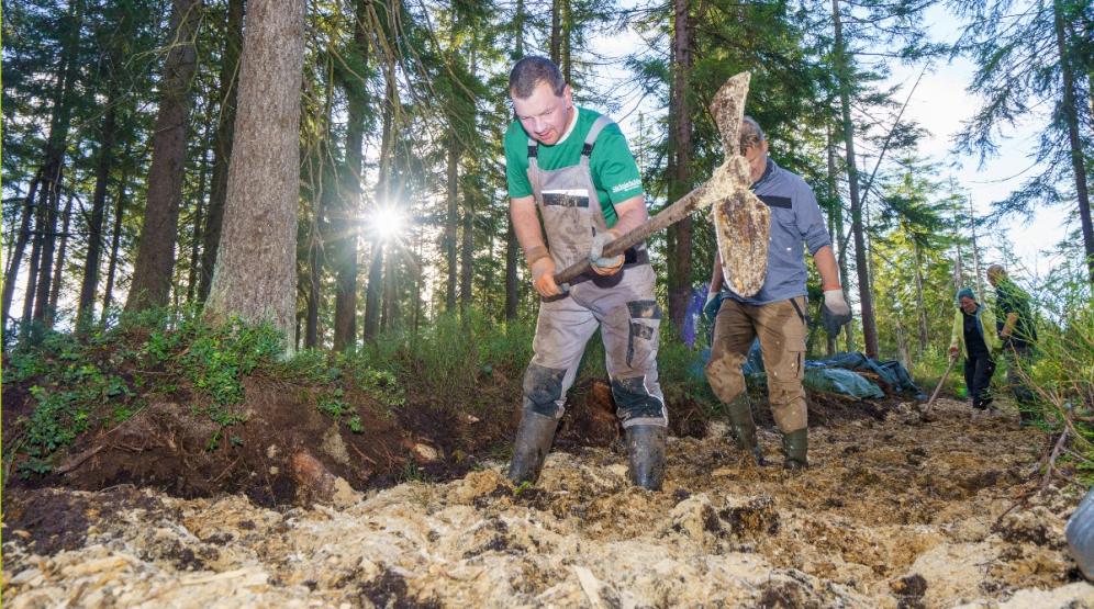 Teilnehmer mit Werkzeugen stehen auf der Hackschnitzelgrabenverfüllung im Moor