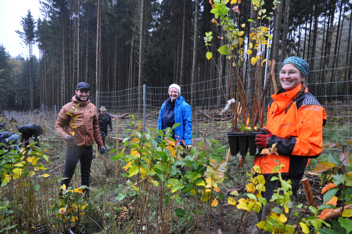 Pflanzen in Oberursel zwei Freiwillige im Wald, eine Person hält mehrere junge Bäume, die gleich gepflanzt werden sollen, in die Kamera