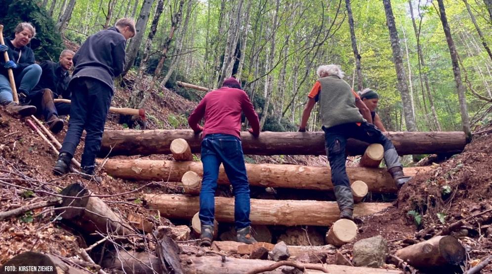 Holzkastenbau gegen Erosion Eine Gruppe Freiwilliger baut einen Holzkasten am Hang, um Erosion entgegenzuwirken