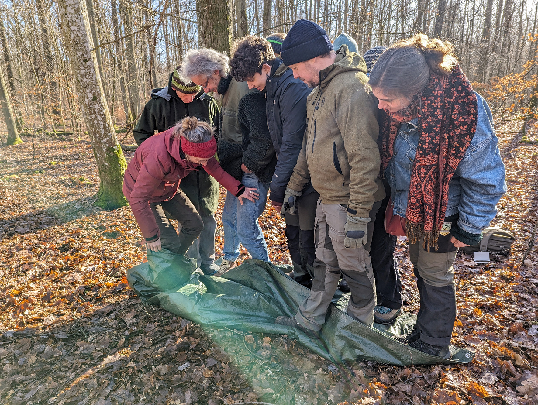 Menschen stehen auf einer Plane im Wald Menschen stehen auf einer Plane im Wald