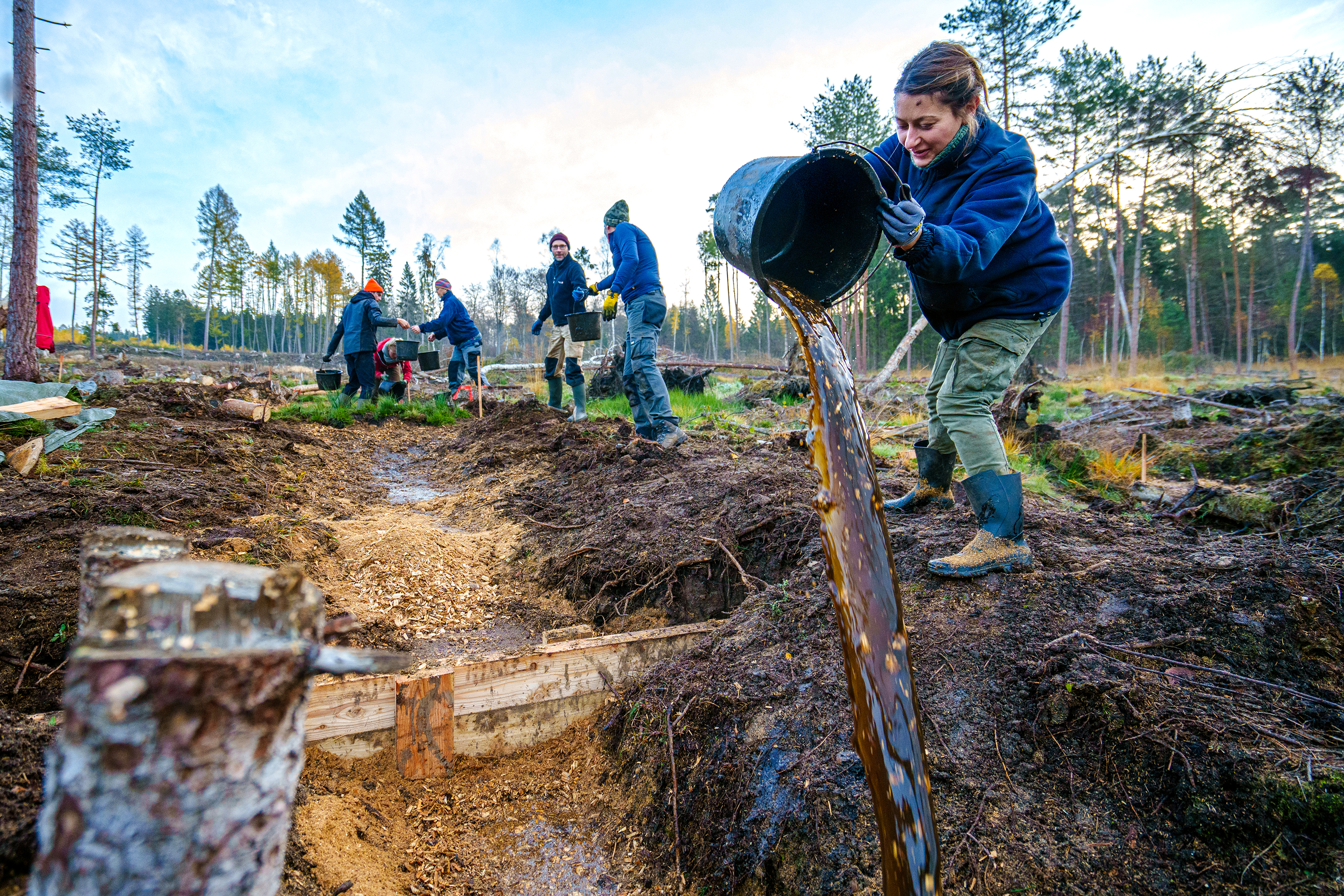 Eine Teilnehmerin schüttet Wasser in einen Graben im Moor