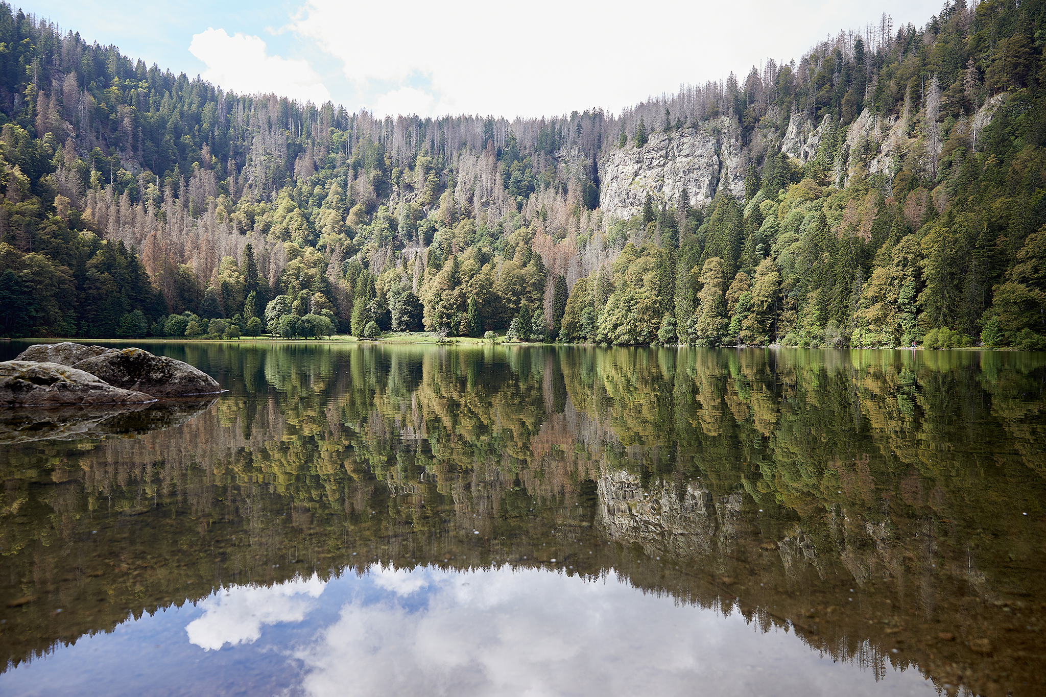 Wald und See