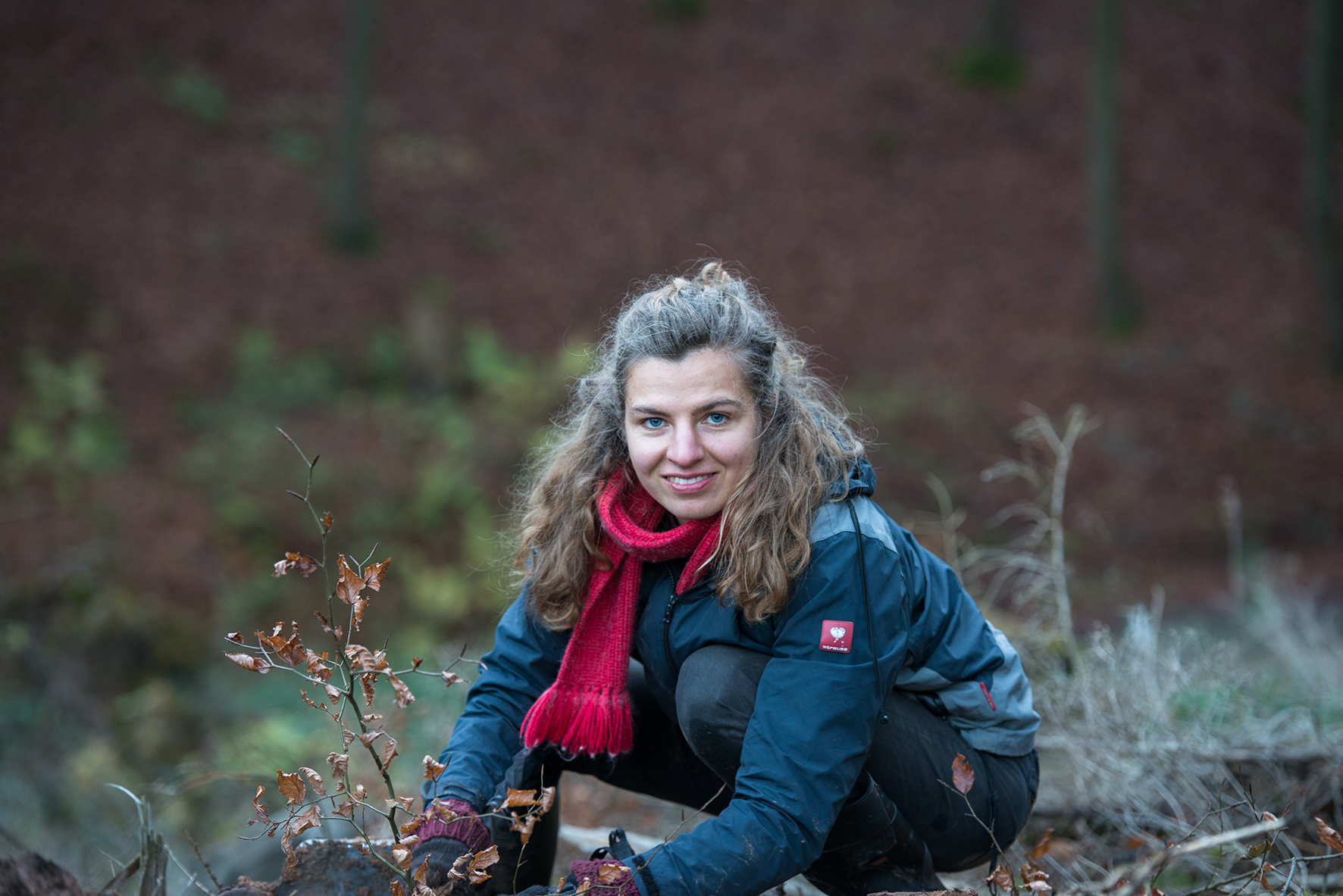 bwp_blog_buchen pflanzen_hardegsen Frau pflanzt eine Buche