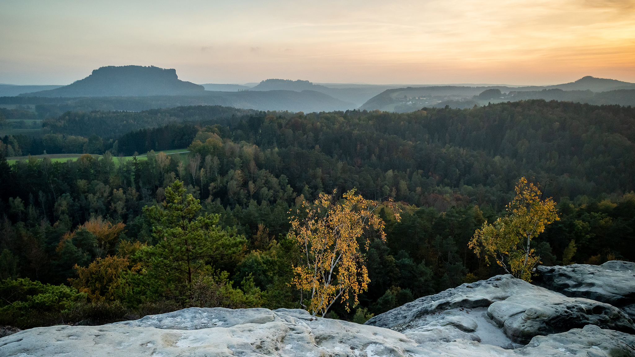 Wald und Tafelberger Wald und Tafelberger