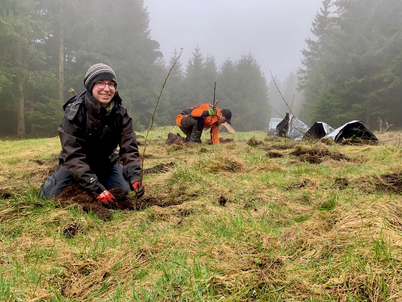 3-H-Sträuchen-Pflanzung