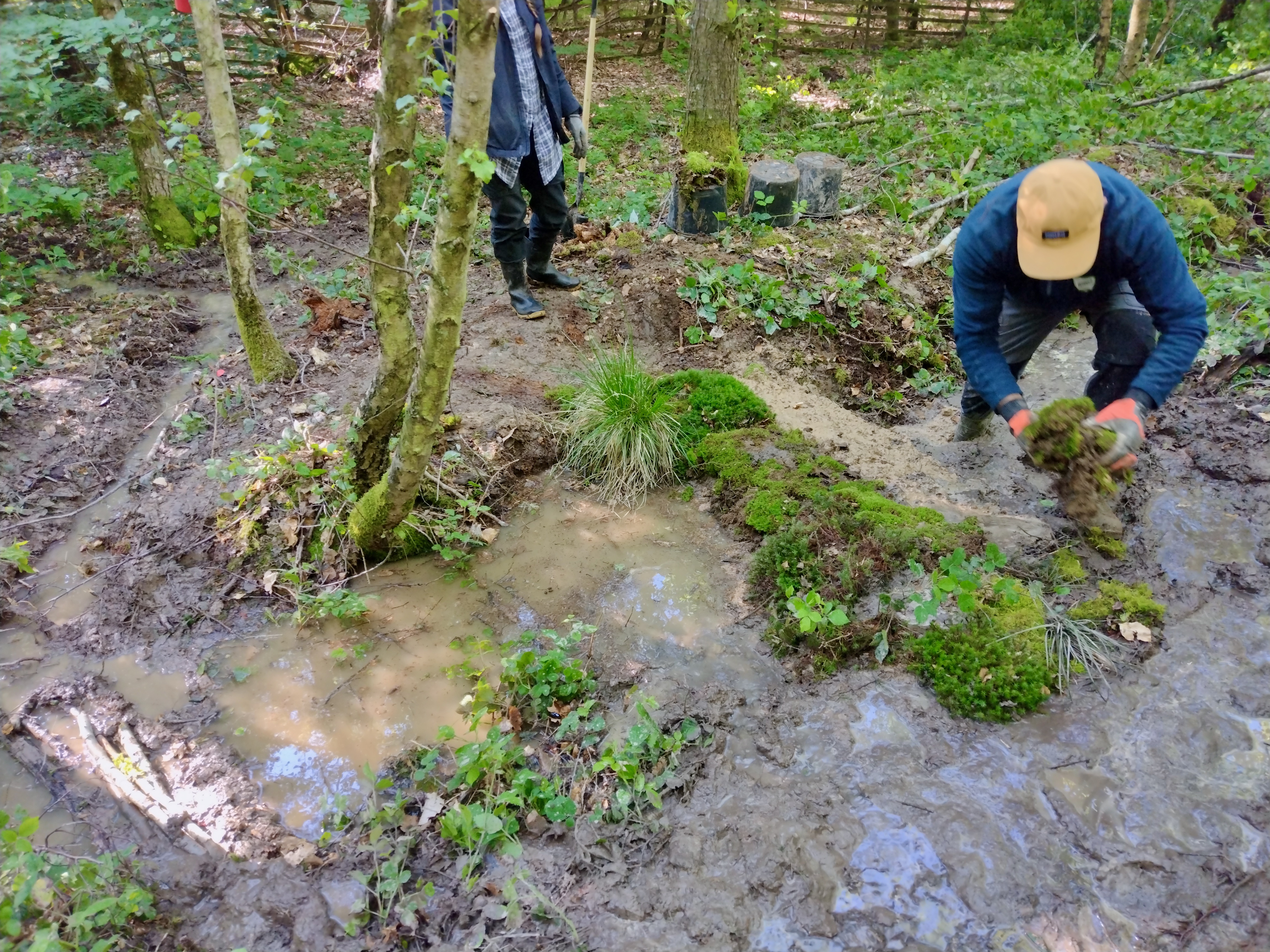 Grabenverbauung bei Wasserstand im Soonwald Grabenverbauung bei Wasserstand im Soonwald