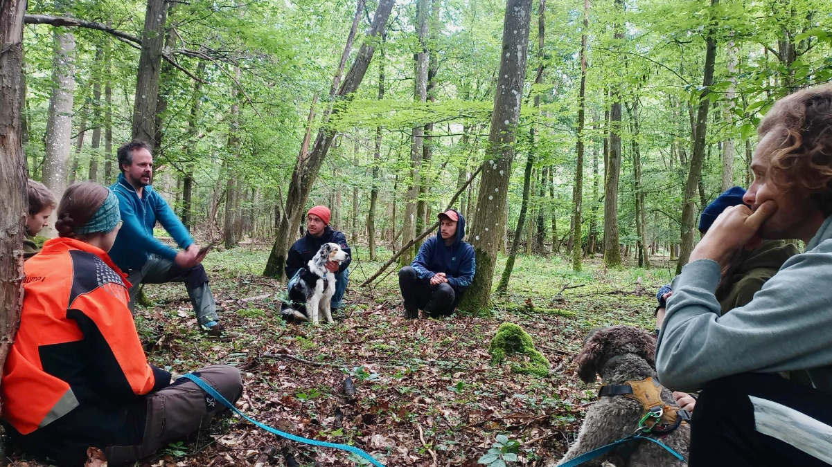 Alter Projektleiter erklärt den Gebrauch der Axt Alter Projektleiter erklärt den Gebrauch der Axt