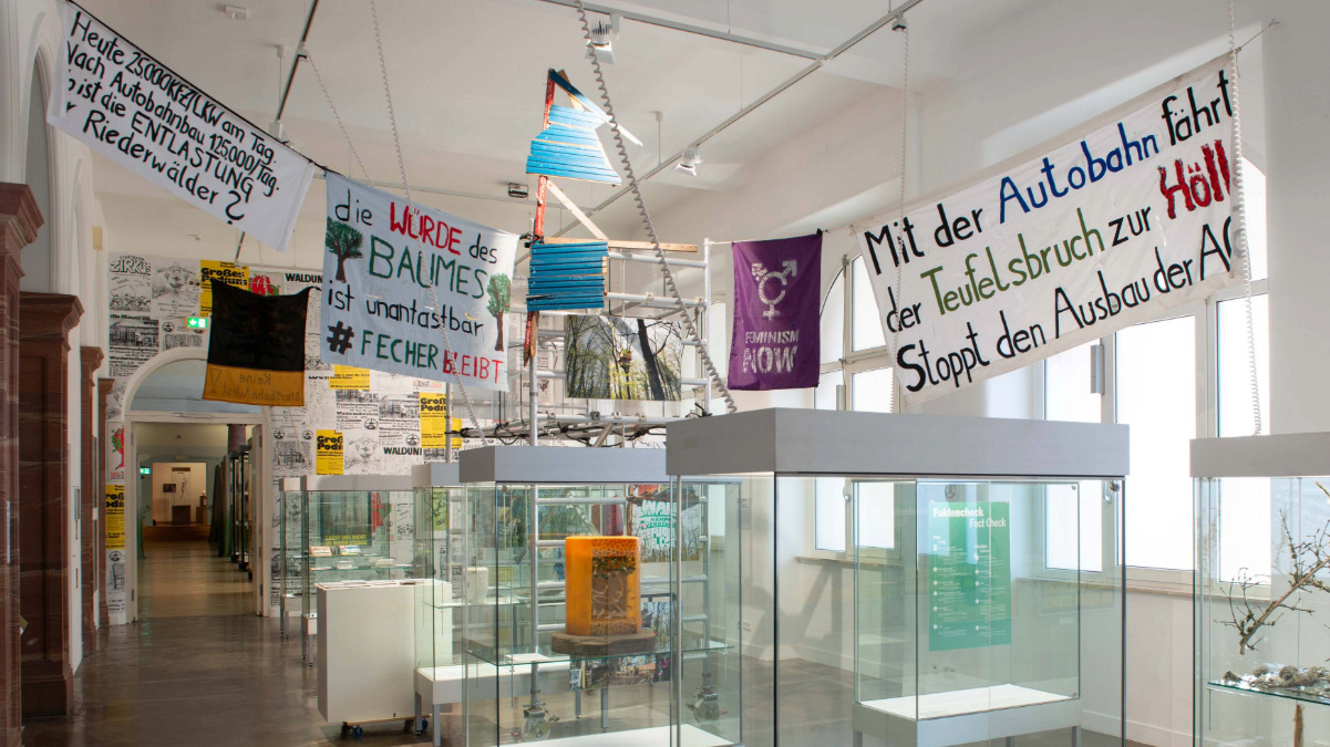 Wälder-Ausstellungsraum im Senckenberg Wälder-Ausstellungsraum im Senckenberg
