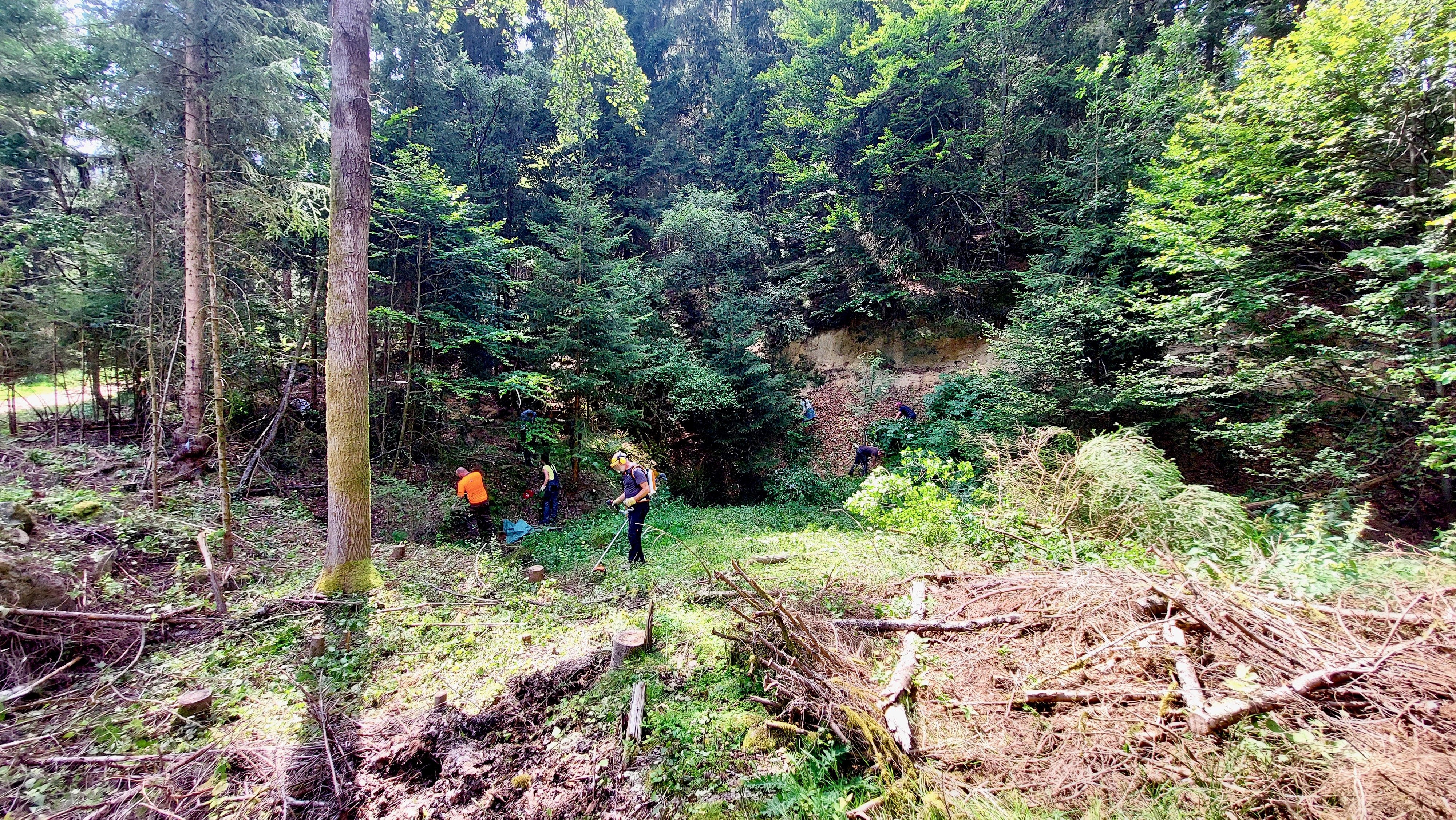 Sandmauer freistellen in Fichtelberg