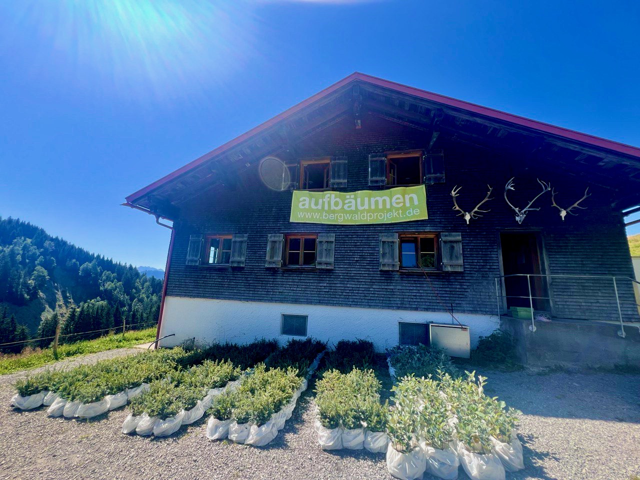 3000 Eiben vor der Unterkunft in Balderschwang 3000 Eiben vor der Unterkunft in Balderschwang