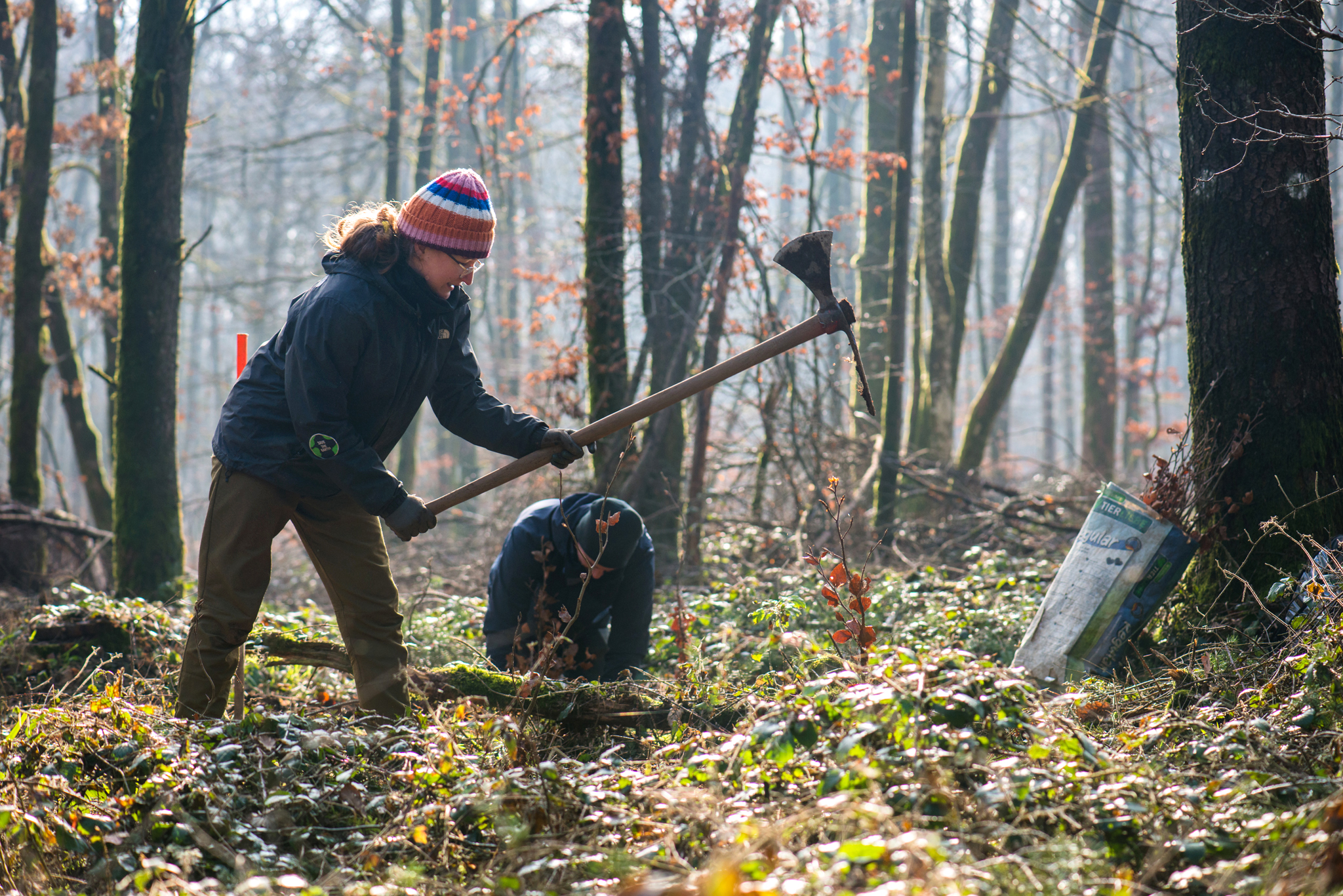 BWP_Galerie_Neuerburg_5.jpg Teilnehmerin mit Wiedehopfhaue bei der Pflanzung