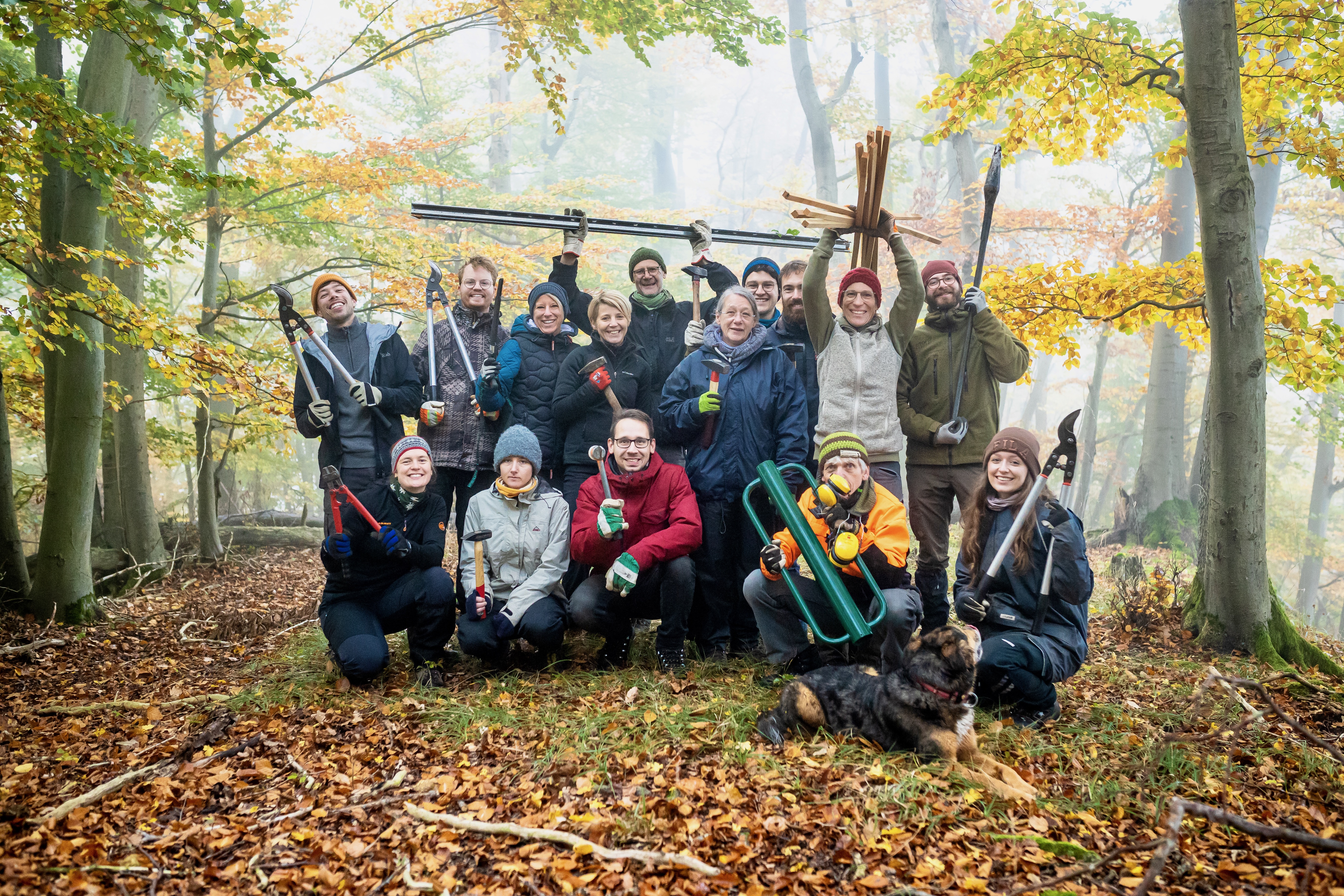 Freiwilligengruppe im Eibenwald