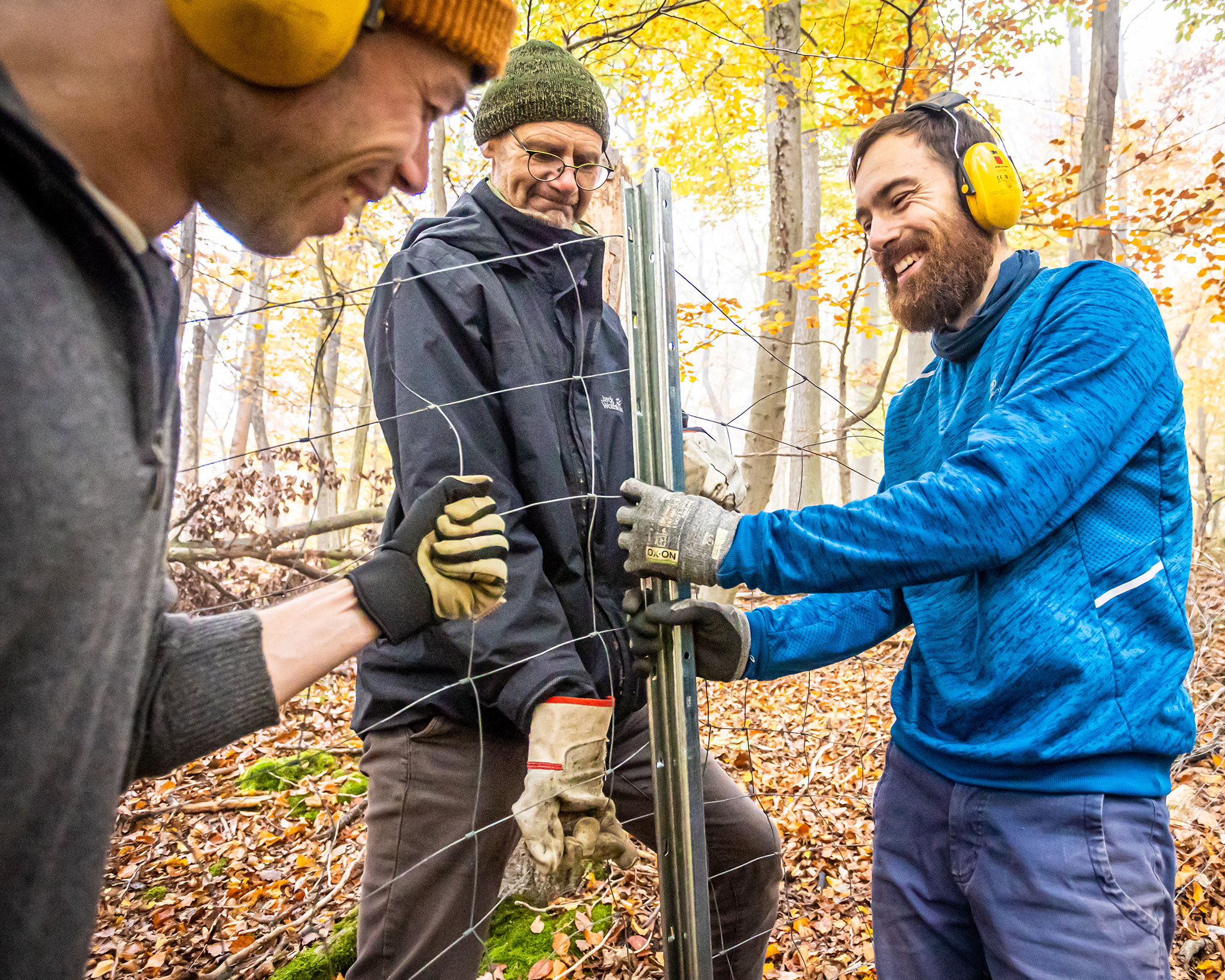 Drei Männer bauen Zaun gegen Wildverbiss