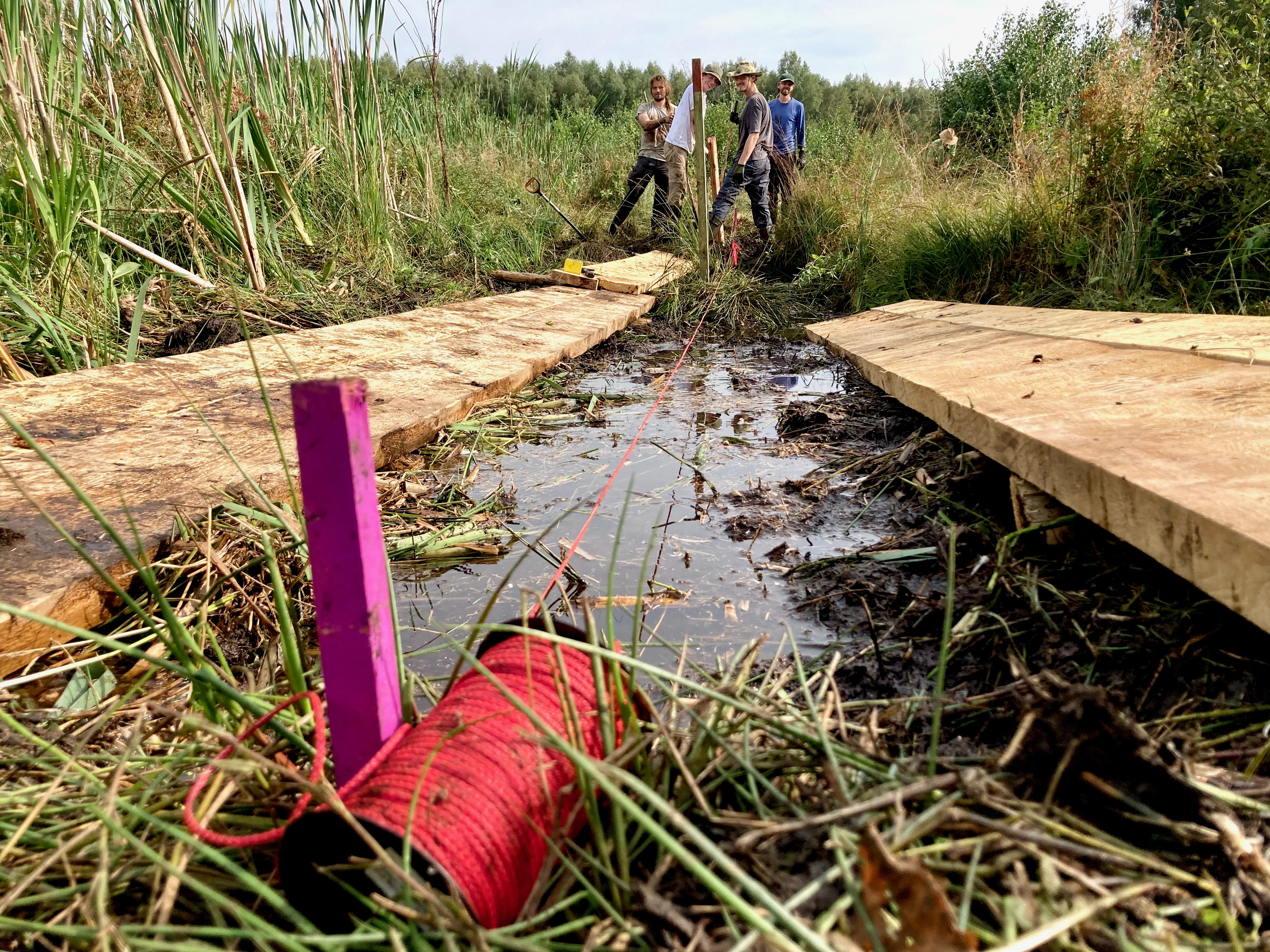 Richtschnur zur Sondierung Eine Schnur spannt über einen Entwässerungsgraben im Moor