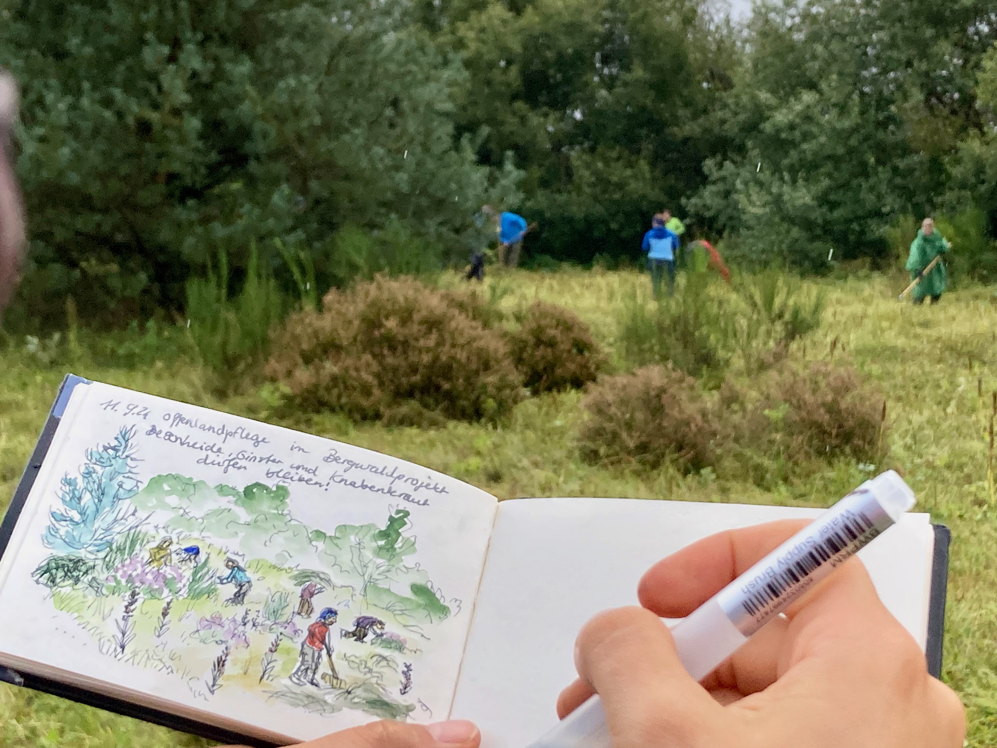 Eine Hand malt in ein Buch ein Landschaft ab