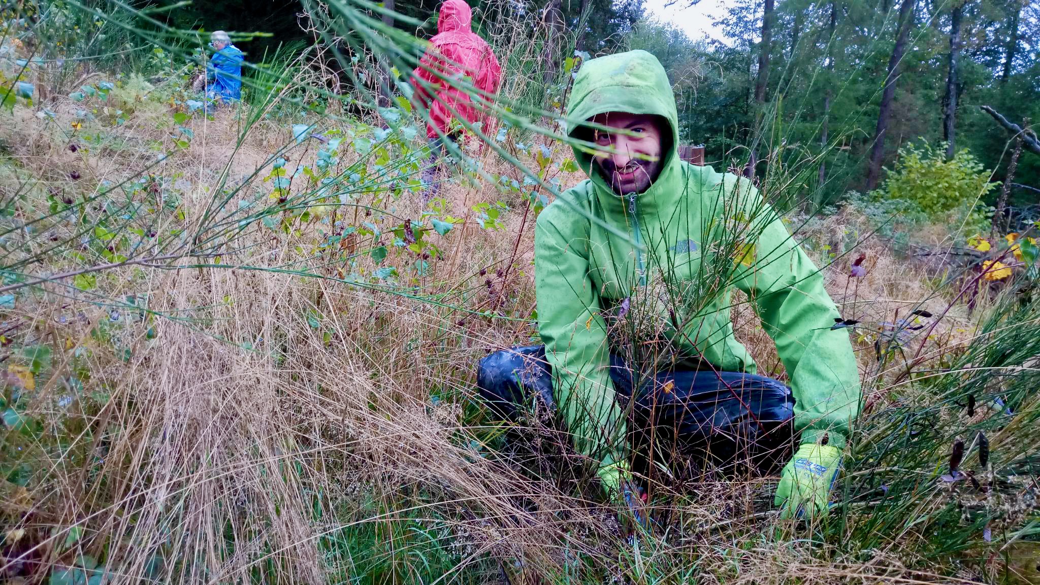 Freiwilliger schneidet Ginster auf einer historischen Wallanlage