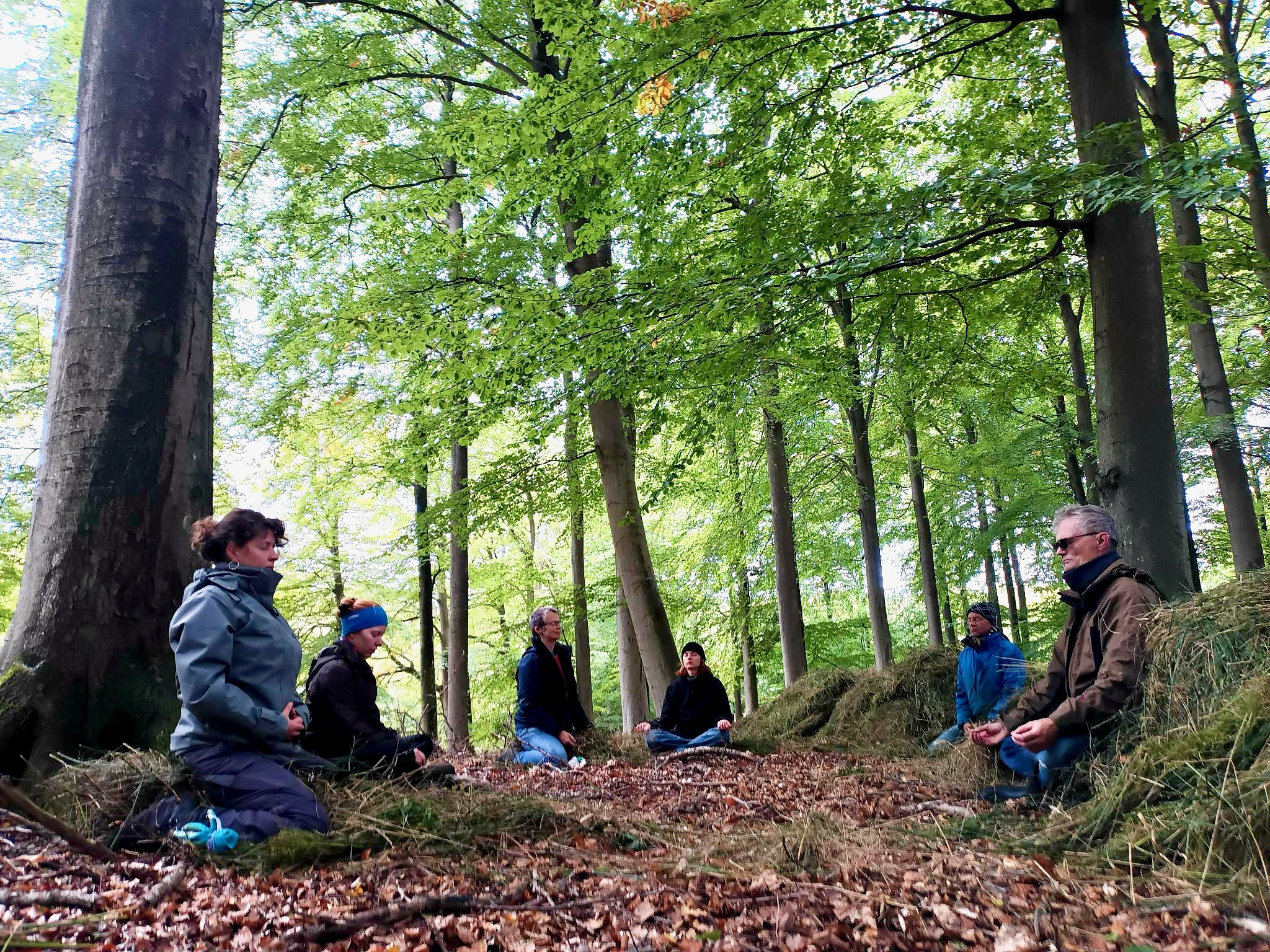 Sitzende Menschen meditieren im Buchenwald