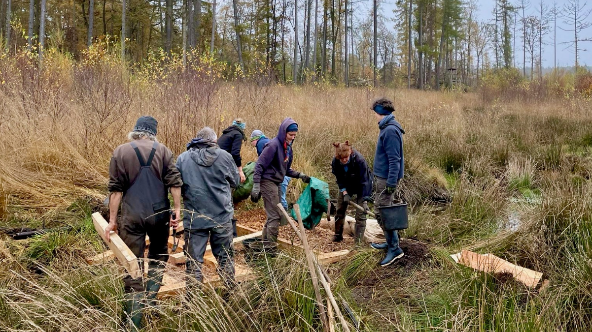 Moor mit Menschen Freiwillige stehen um ein Stauwerk im Reinhardswald herum