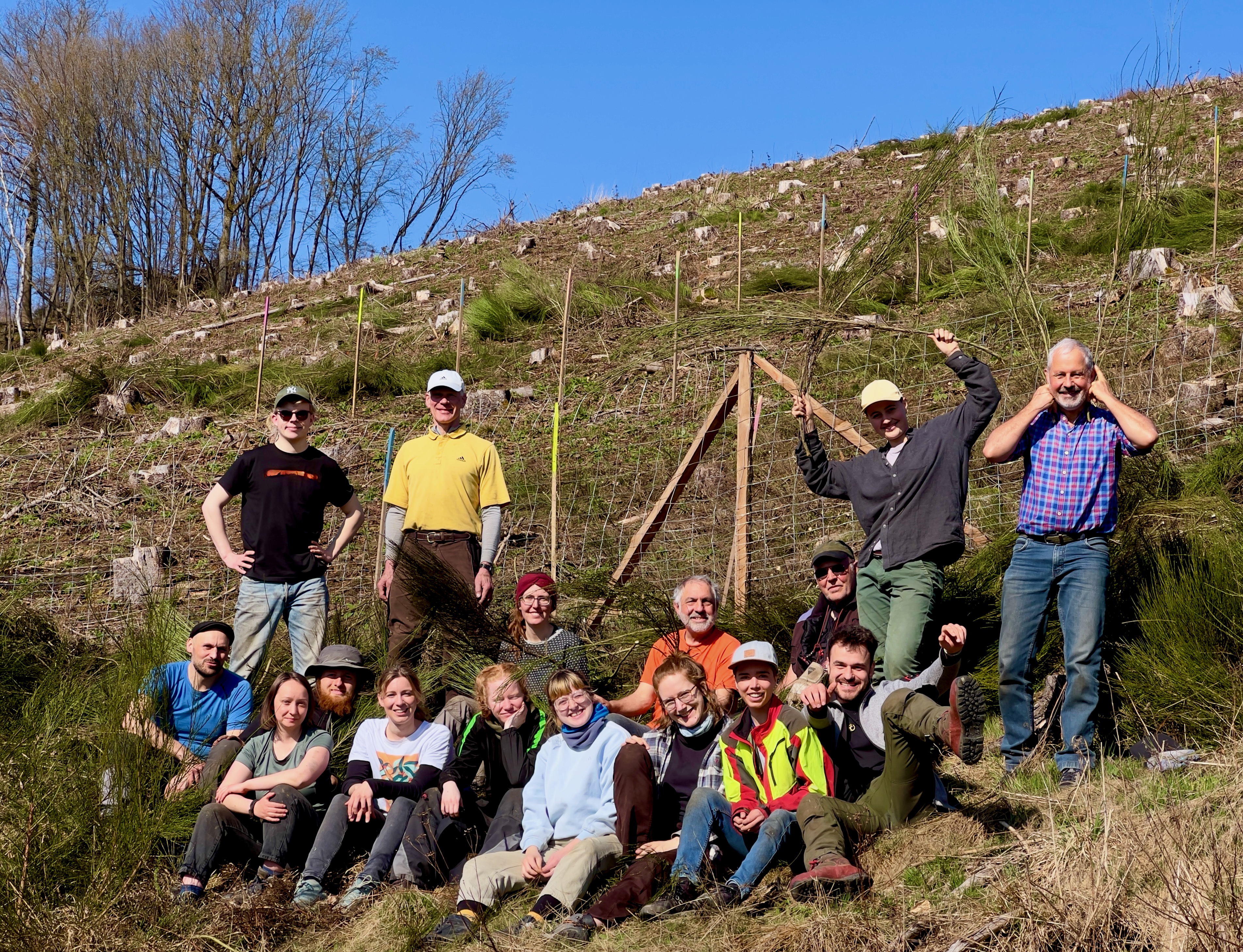 Freiwilligengruppe Werdohl auf Kahlfläche mit Ginster
