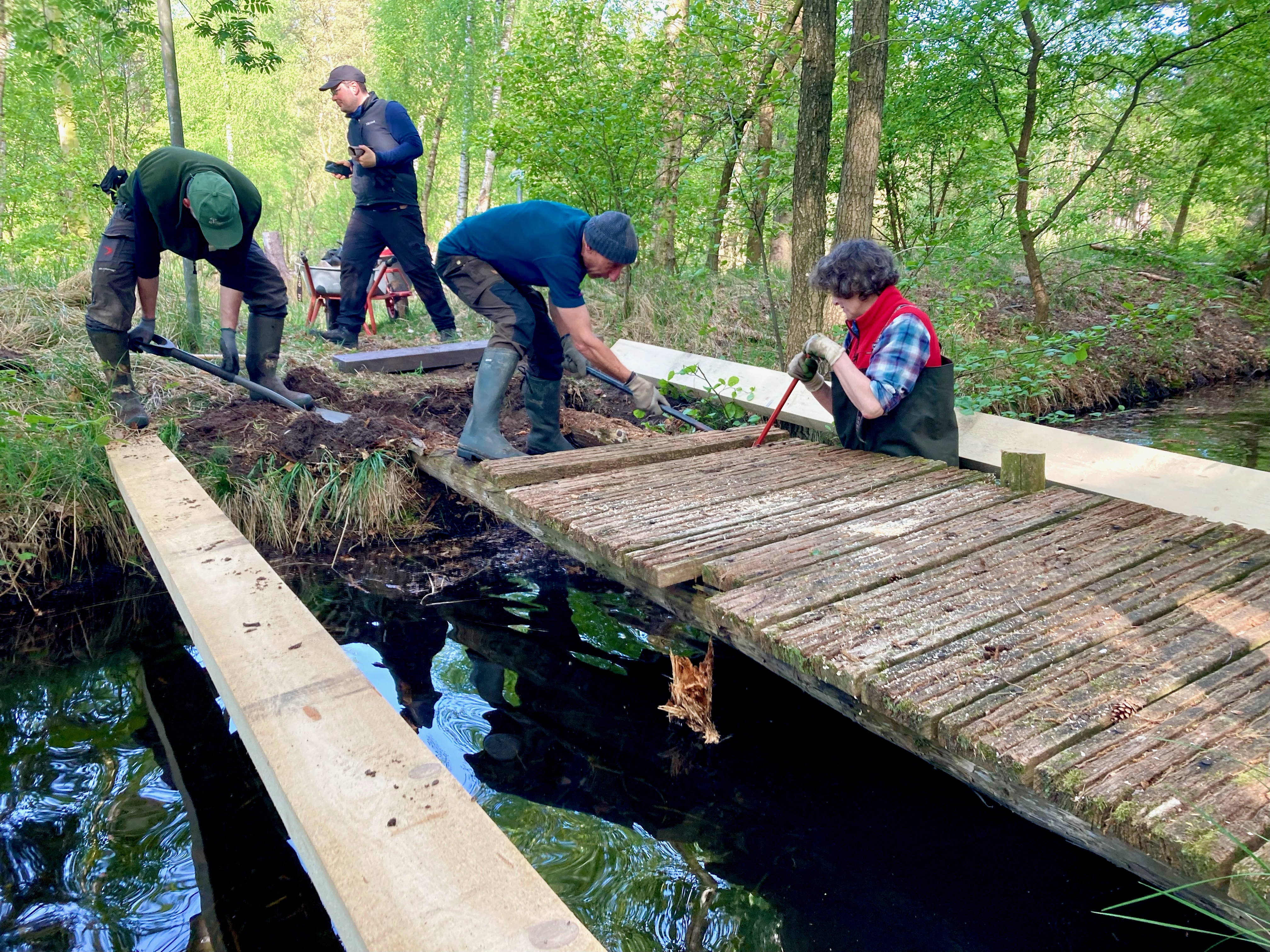 Brückensanierung in der Nossentiner Schwinzer Heide Die Trittbretter einer Brücke über einen Bach werden entfernt.