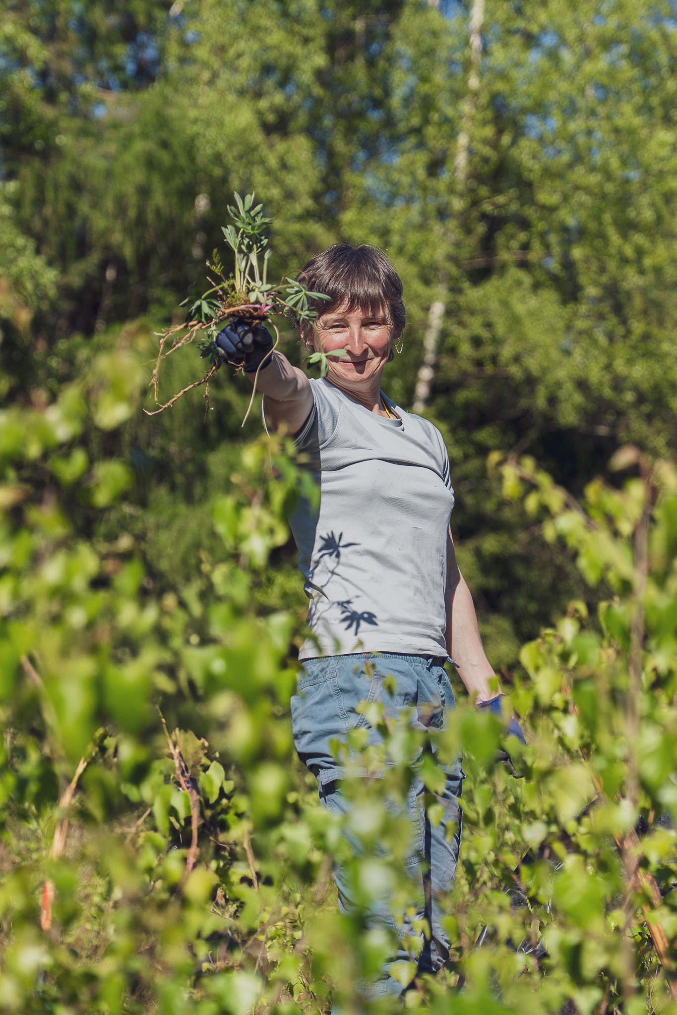 Teilnehmerin hält gejätete Lupine in die Kamera