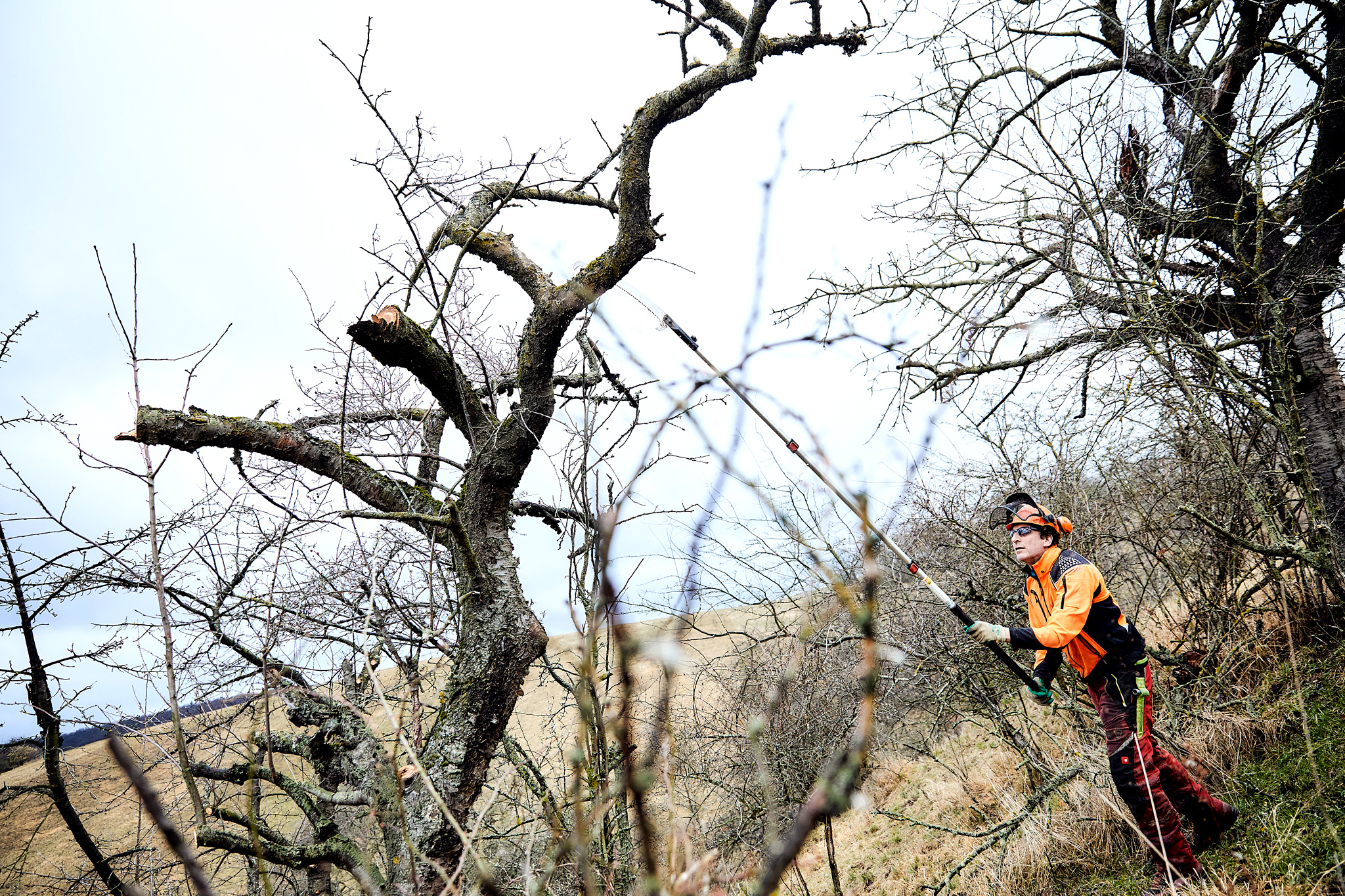 HoheSchrecke_Bildergalerie_Bergwaldprojekt_12.jpg Teilnehmer mit Teleskop-Astsäge in Aktion
