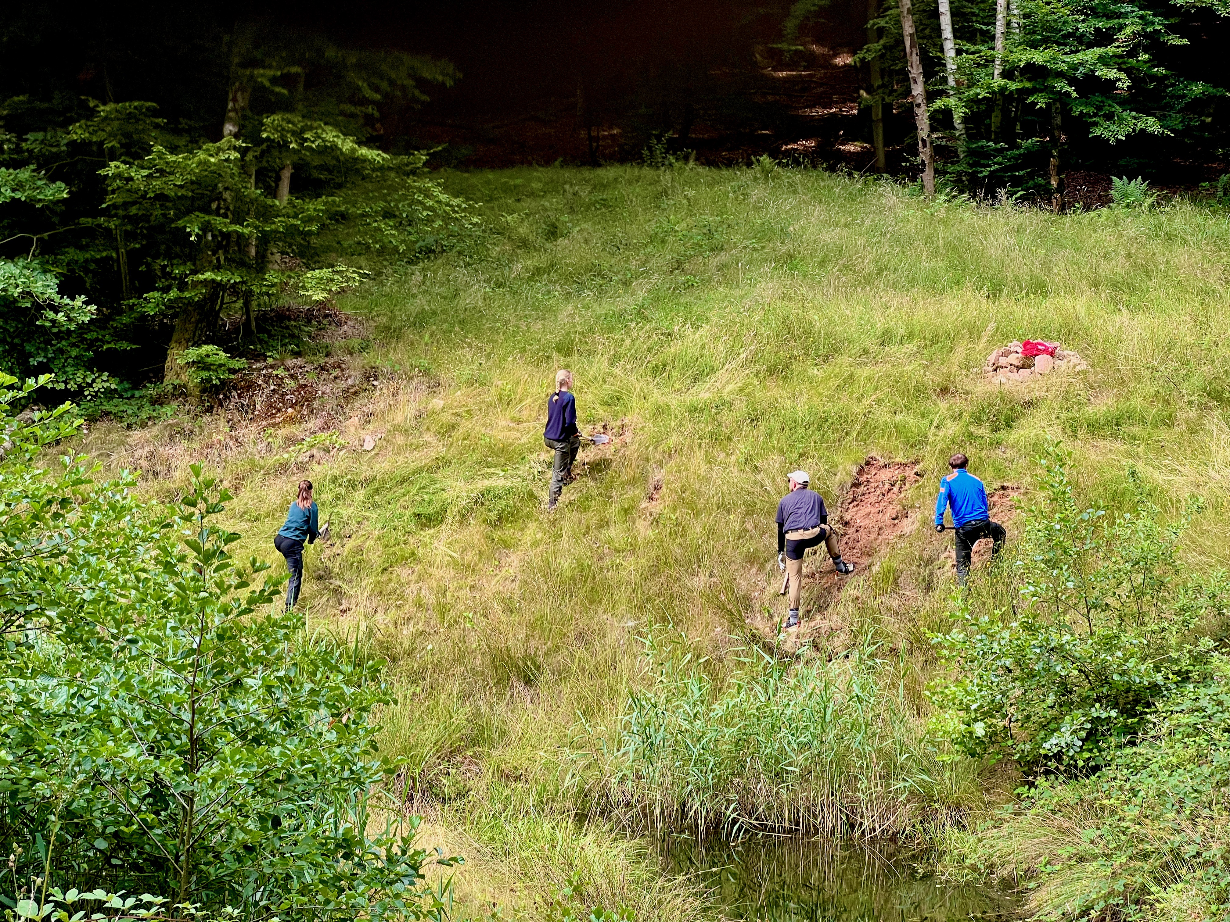 Vier Menschen stehen hinter einem Weiher verteilt am Hang