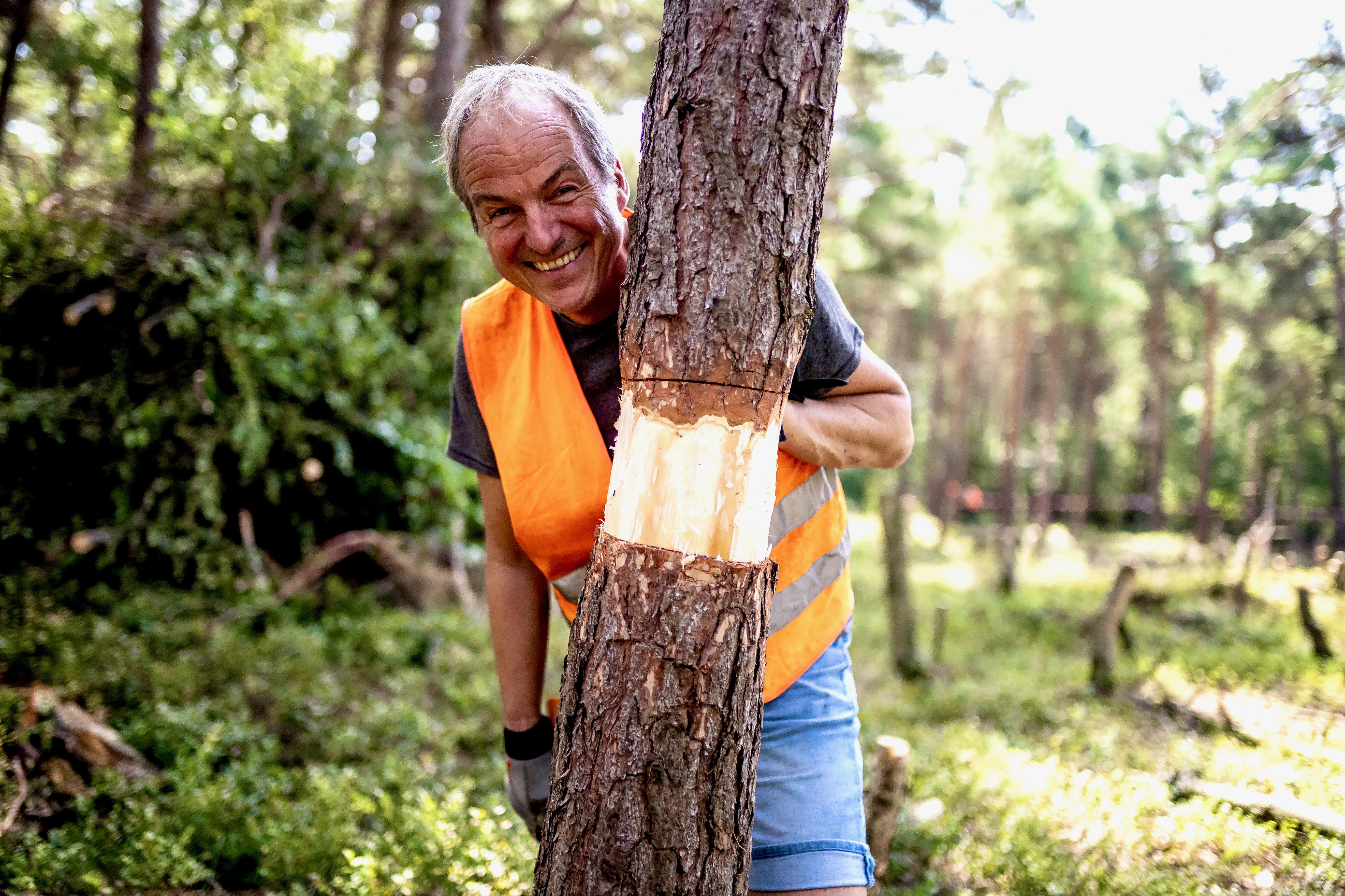Mann steht hinter einem geringelten Kiefernstamm und grinst