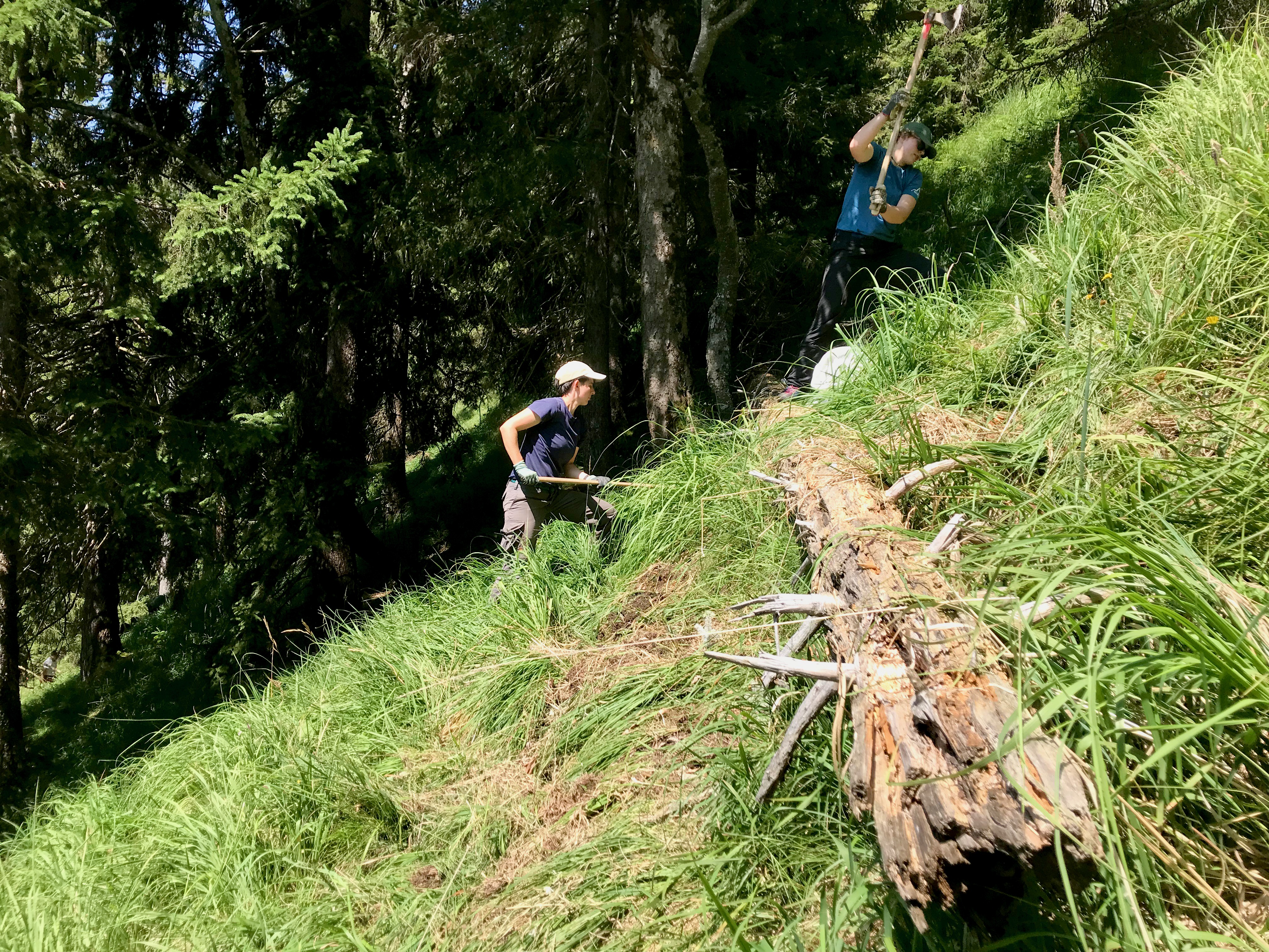 Ein sich auflösender Baumstamm liegt quer im Steilhang, dahinter stehen Menschen