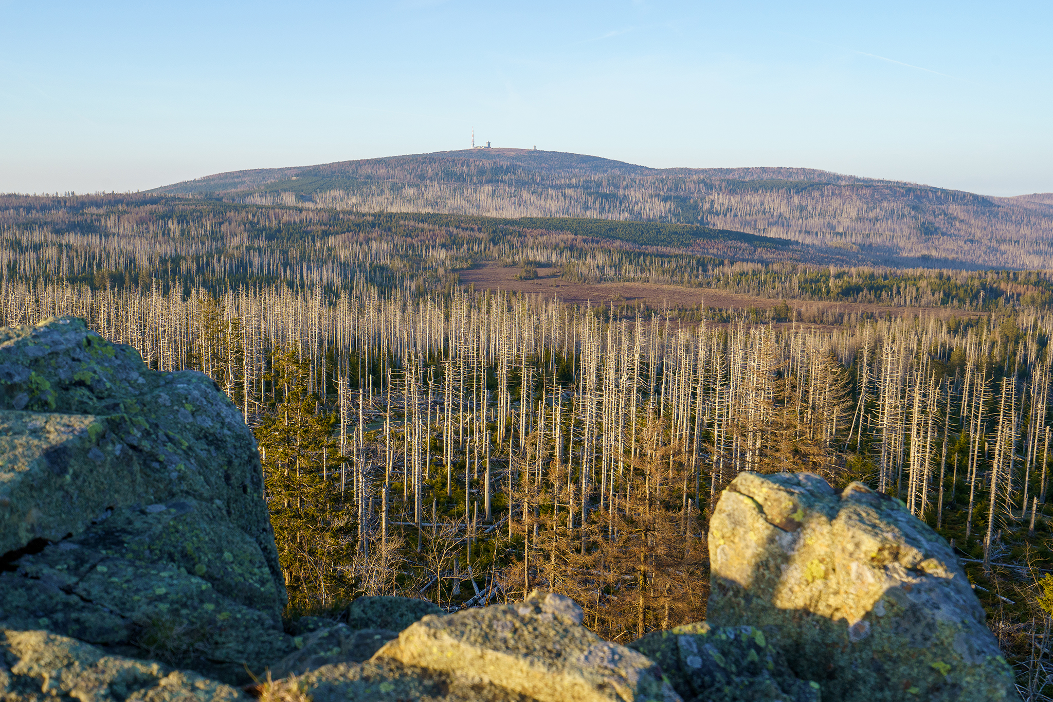 Entwaldeter Brocken im Harz