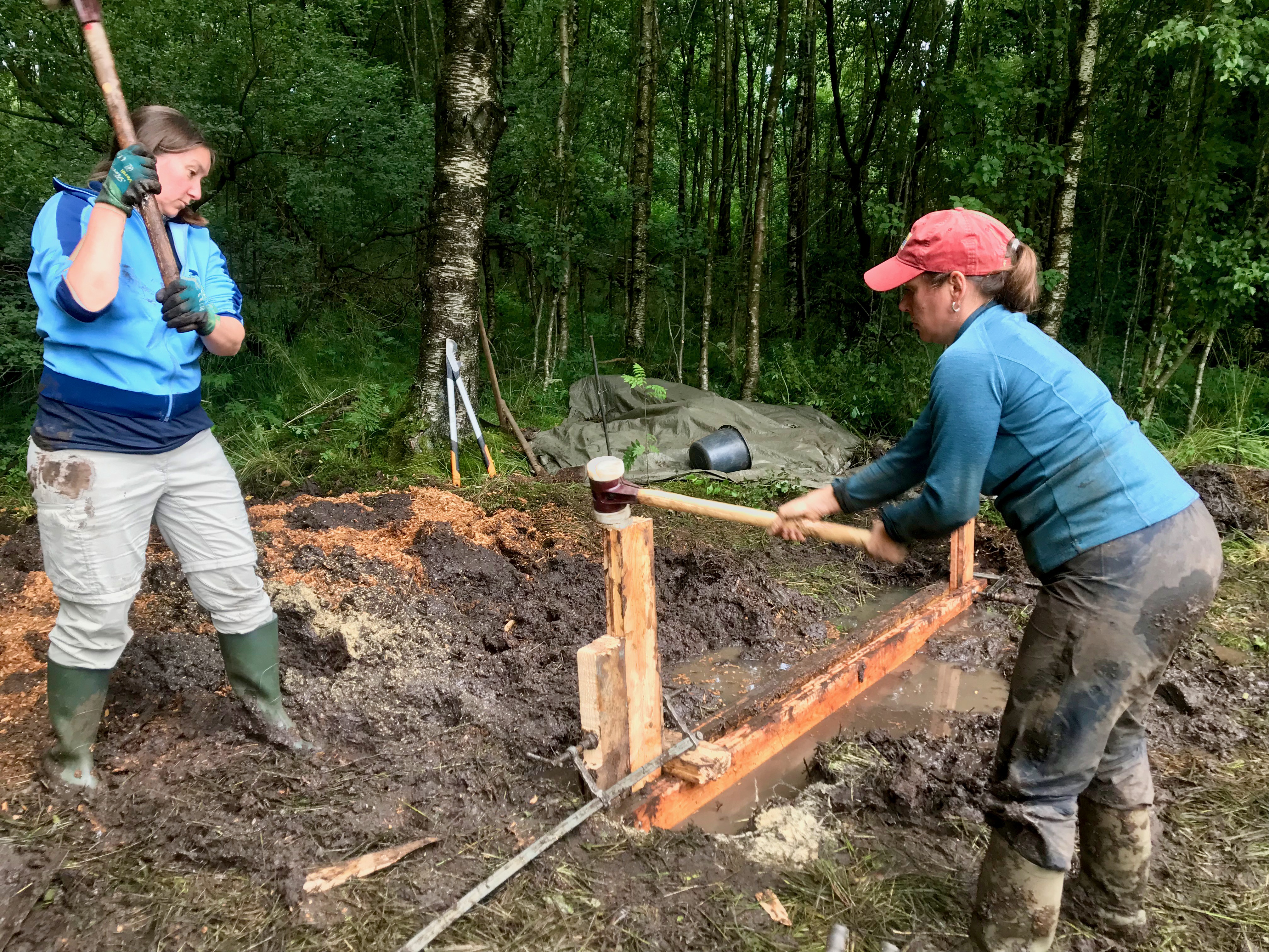 Zwei Fragen schlagen mit großen Hämmern ein Spundbrett in den Moorboden