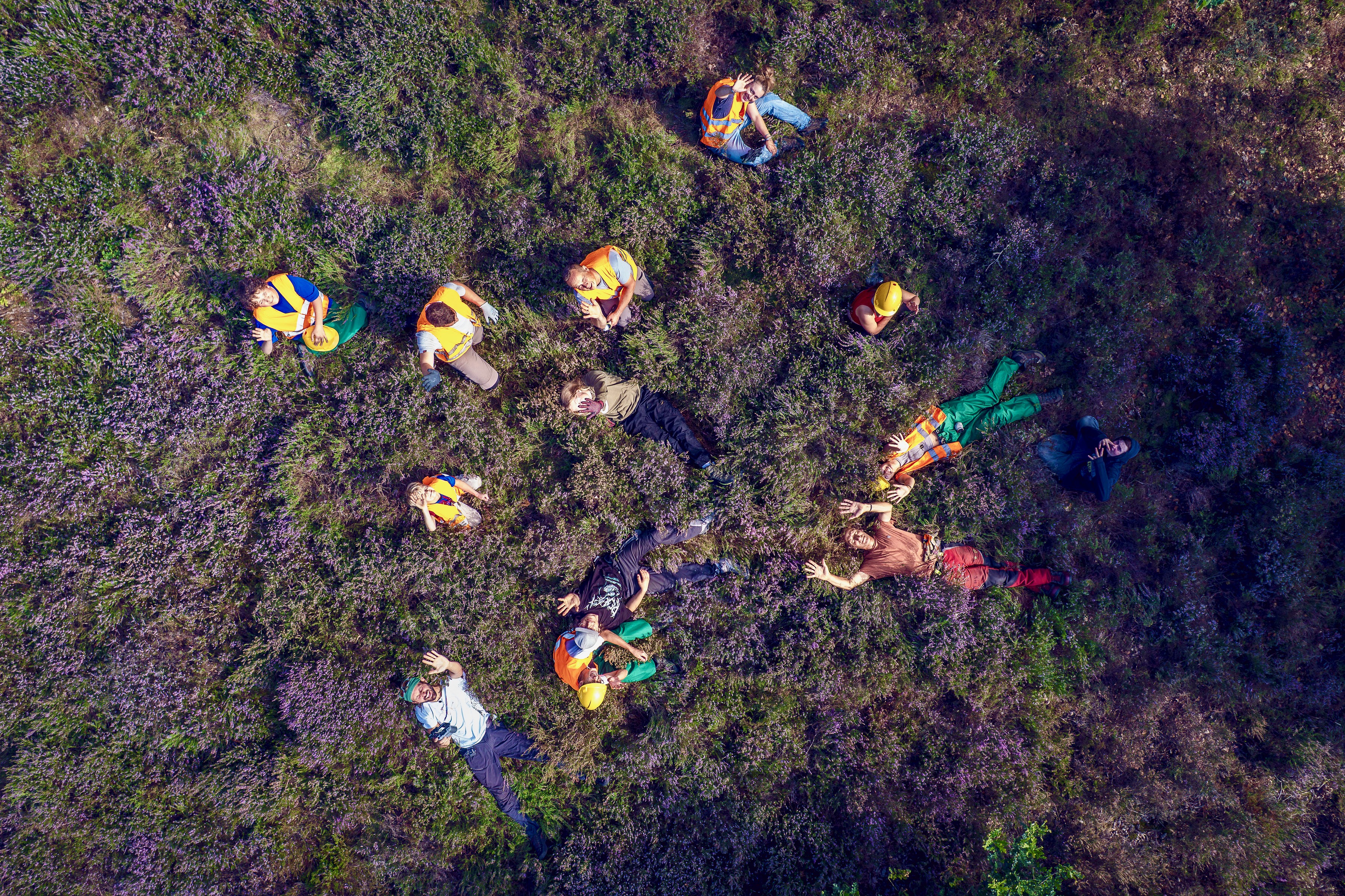 Bilck vom Himmel auf eine Gruppe Jugendlicher, die in der blühenden Heide liegt