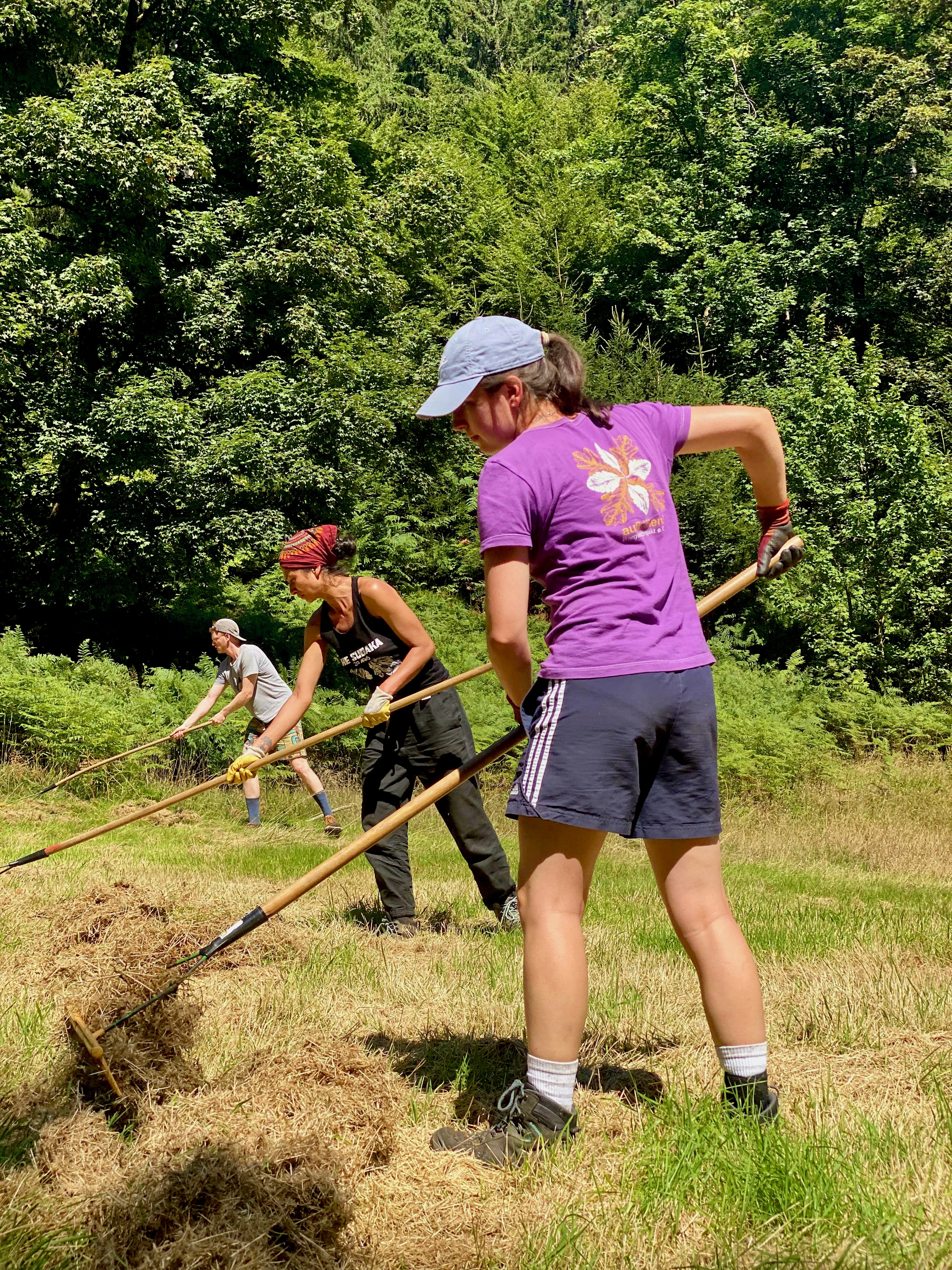 Drei Menschen stehen schräg hintereinander und rechen synchron auf einer Wiese