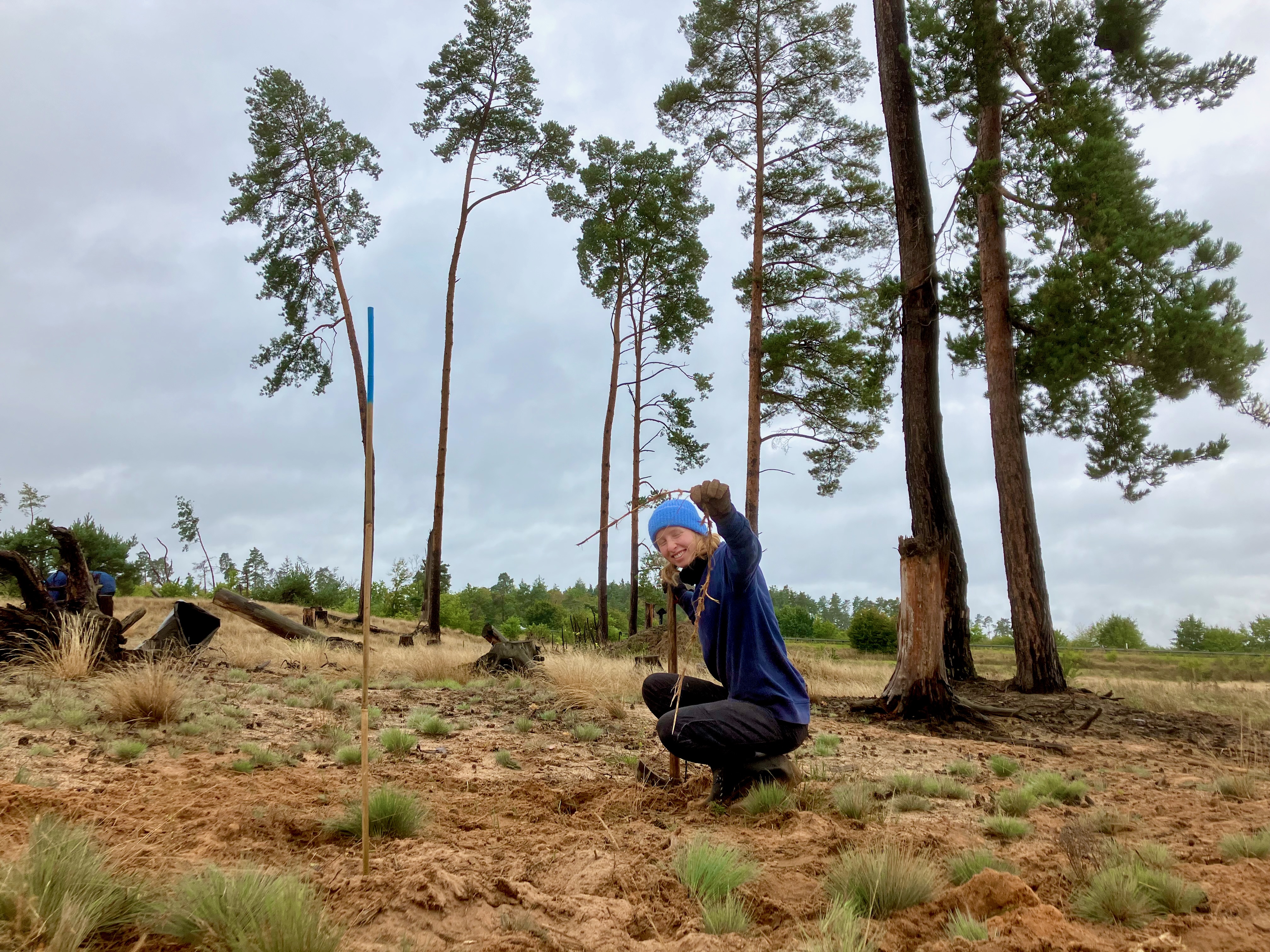Ein Mensch in der Hocke auf einer sandigen Freifläche mit einigen Kiefern im Hintergrund