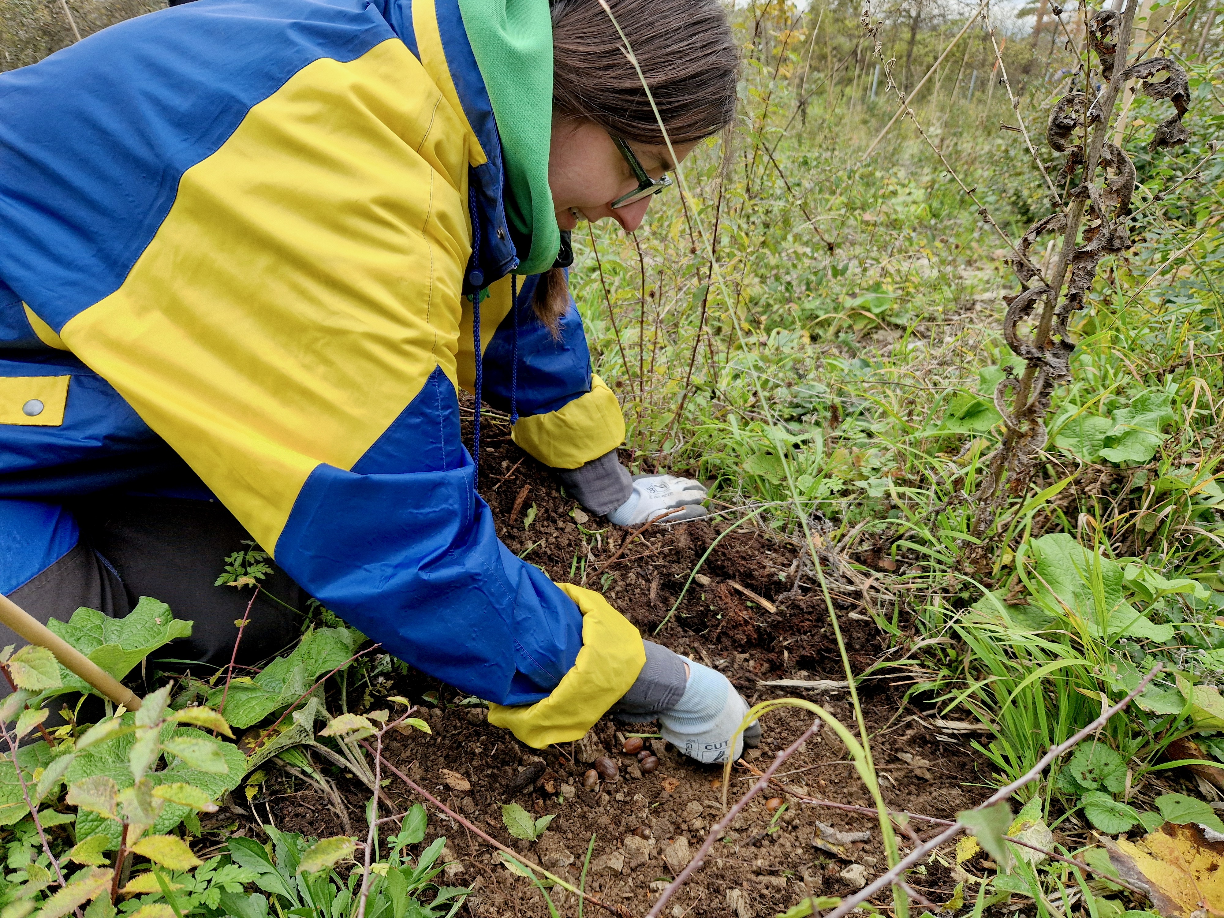 Frau mit Handschuh kniet vor einem kleinen Flecken offener Erde im Grünen