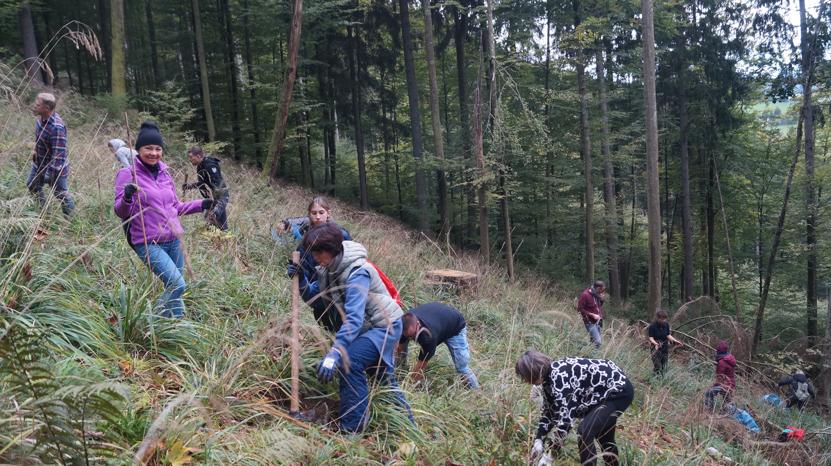 Personen pflanzen Bäume am Berg