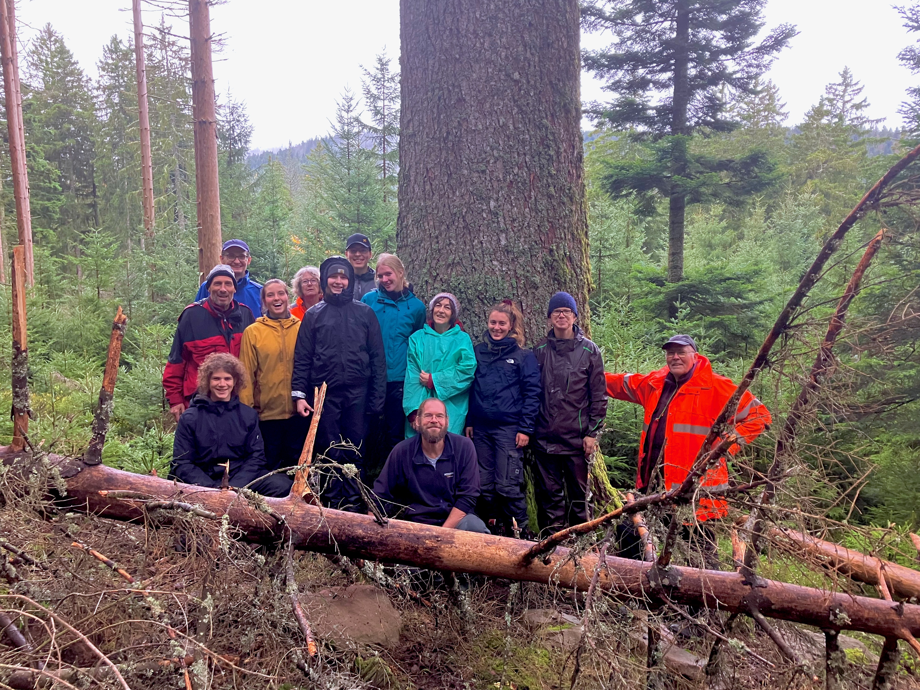 13 Menschen stehen in lichtem Wald um einen Riesenstamm