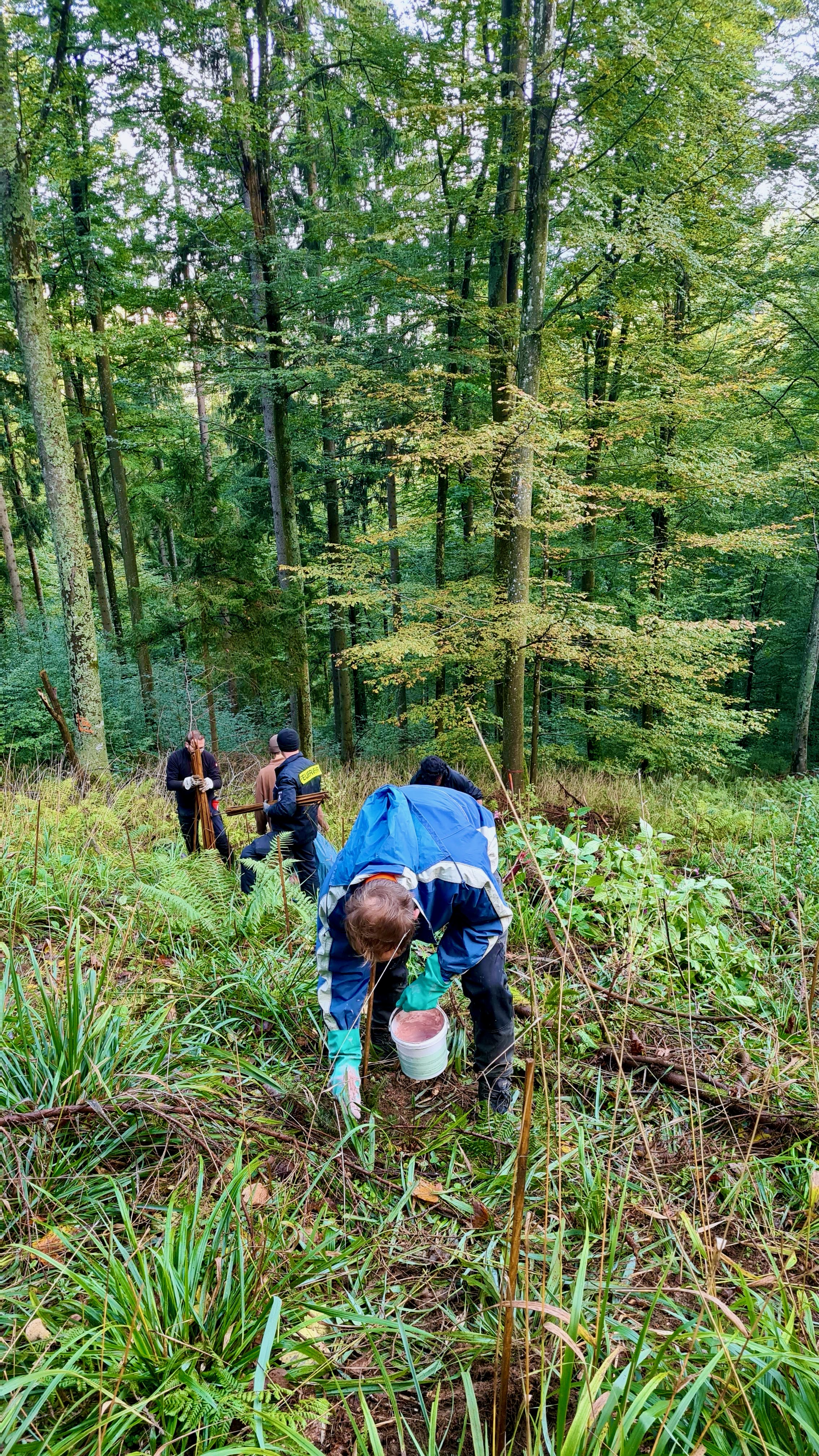 Gebückter Mensch mit weißem Eimer mir rosa Inhalt steht im Wald