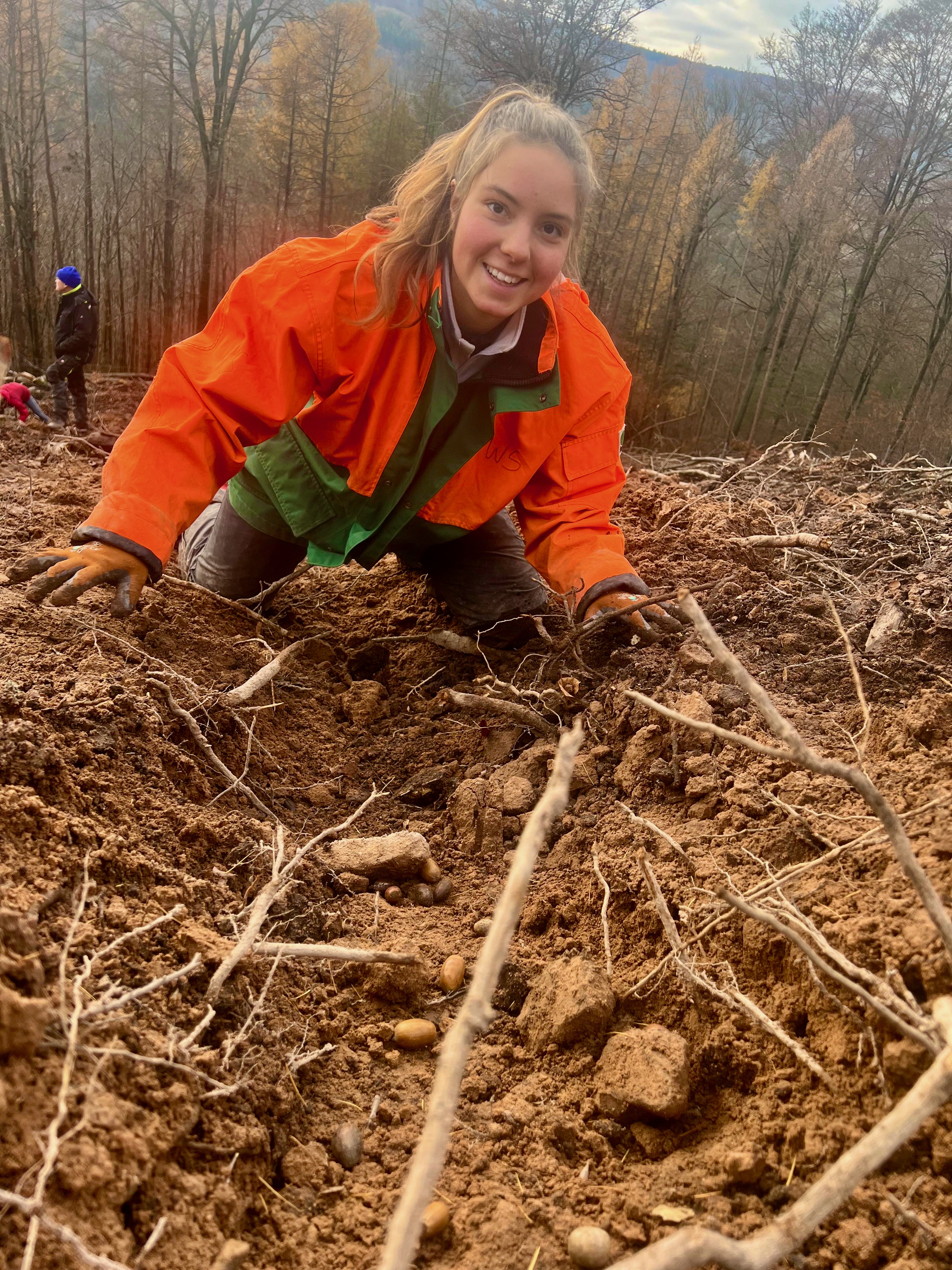 So geht Rillensaat. Eine junge Frau kniet über einer Rille im Boden, in der Eicheln liegen.
