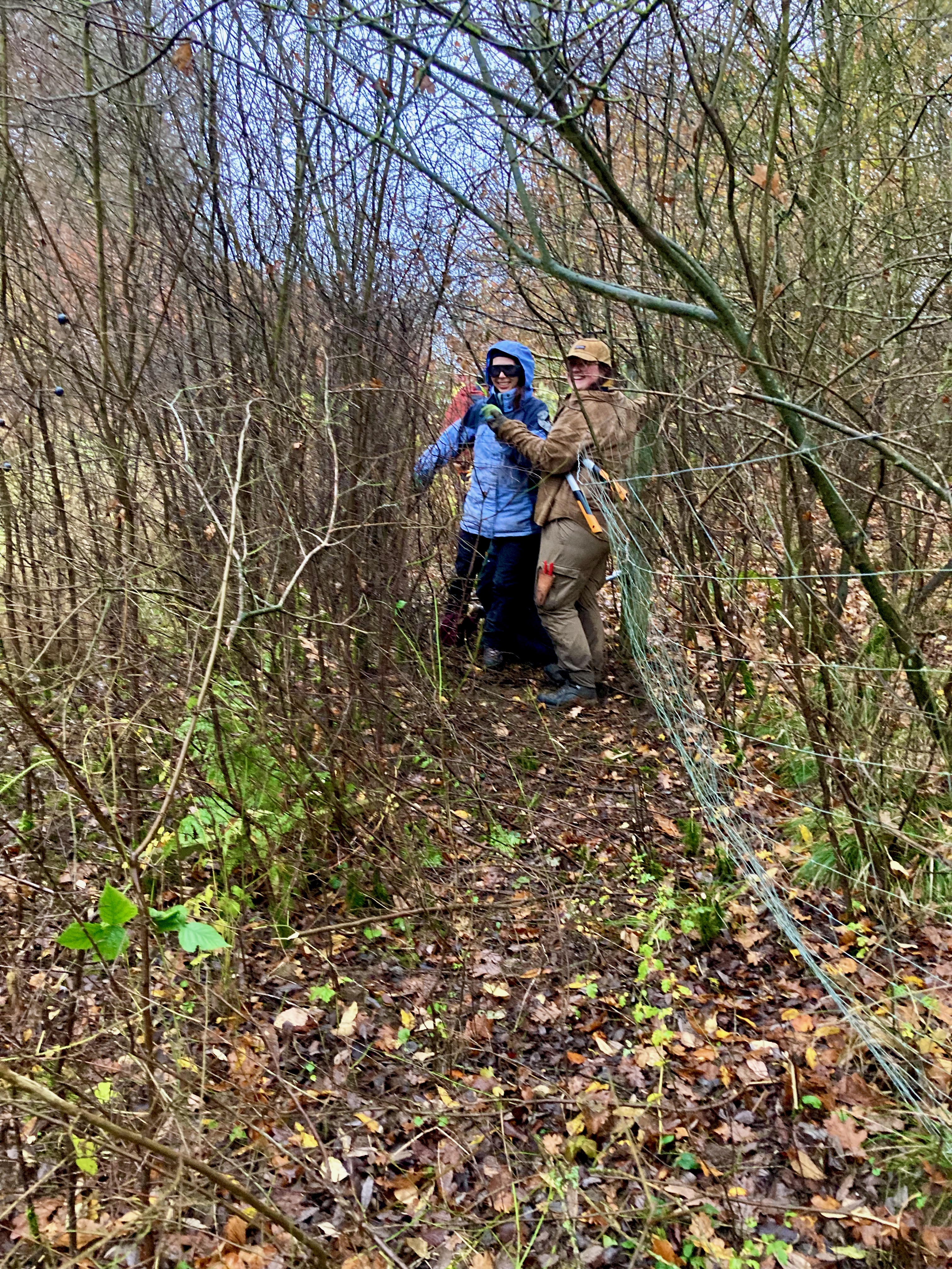 Zwei Menschen mit Schutzbrillen stehen zwischen Dornenhecken