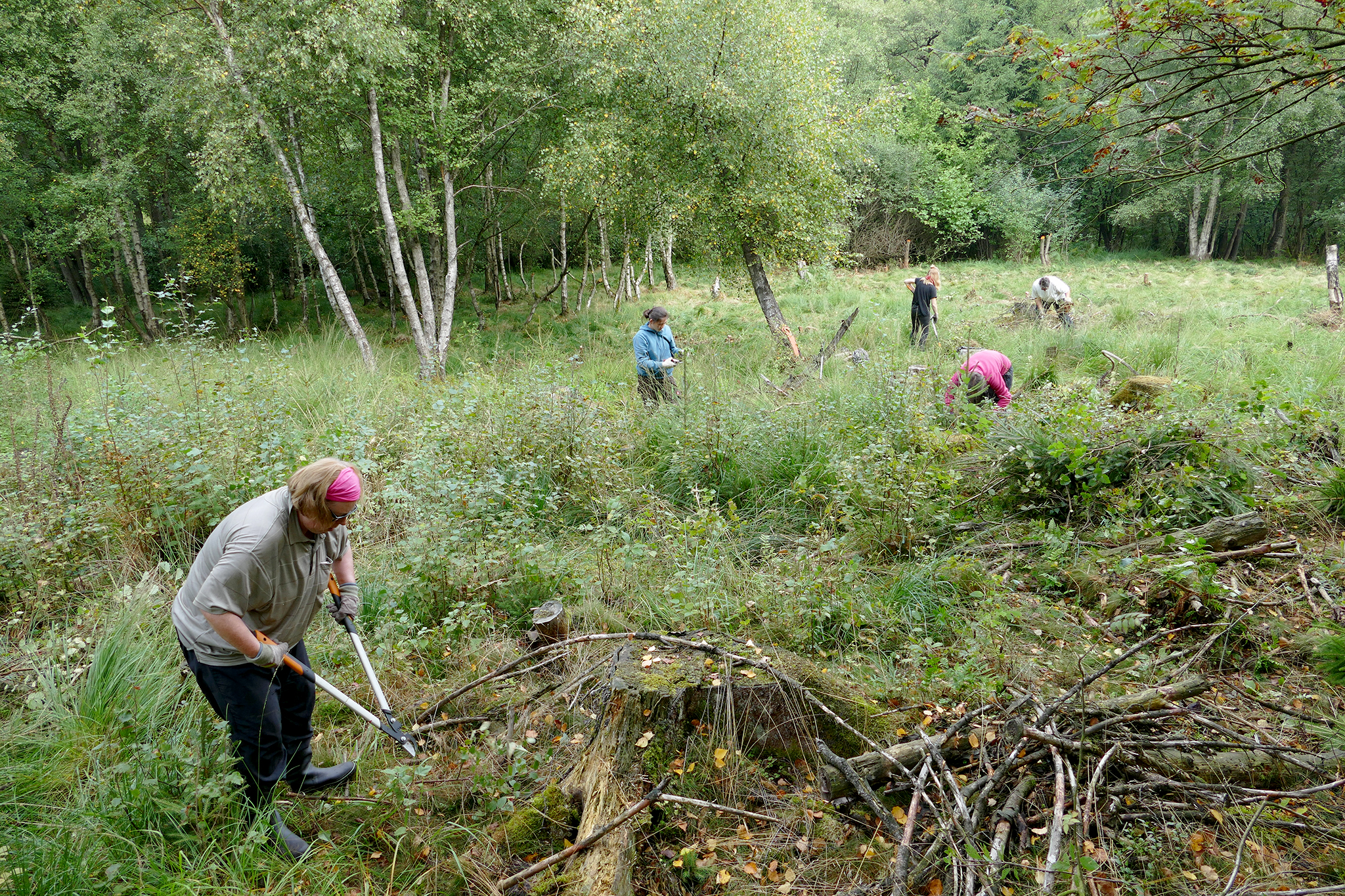 Moorentkusselung_Lichtenau_Bergwaldprojekt Moorentkusselung_Lichtenau_Bergwaldprojekt
