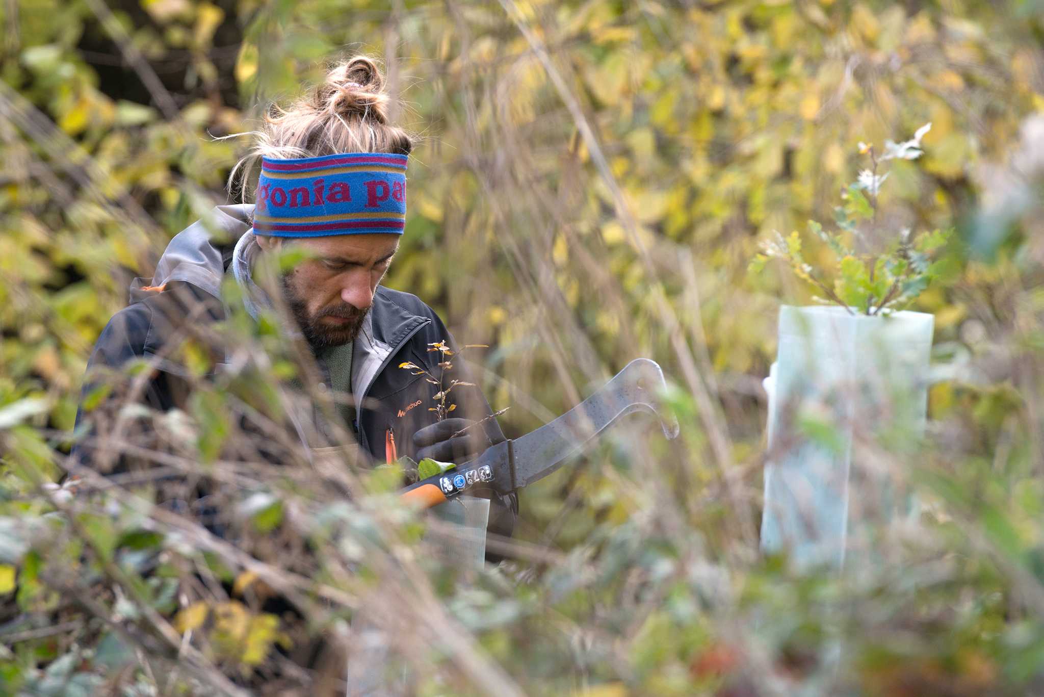 Person mit Gertel bei der Waldpflege