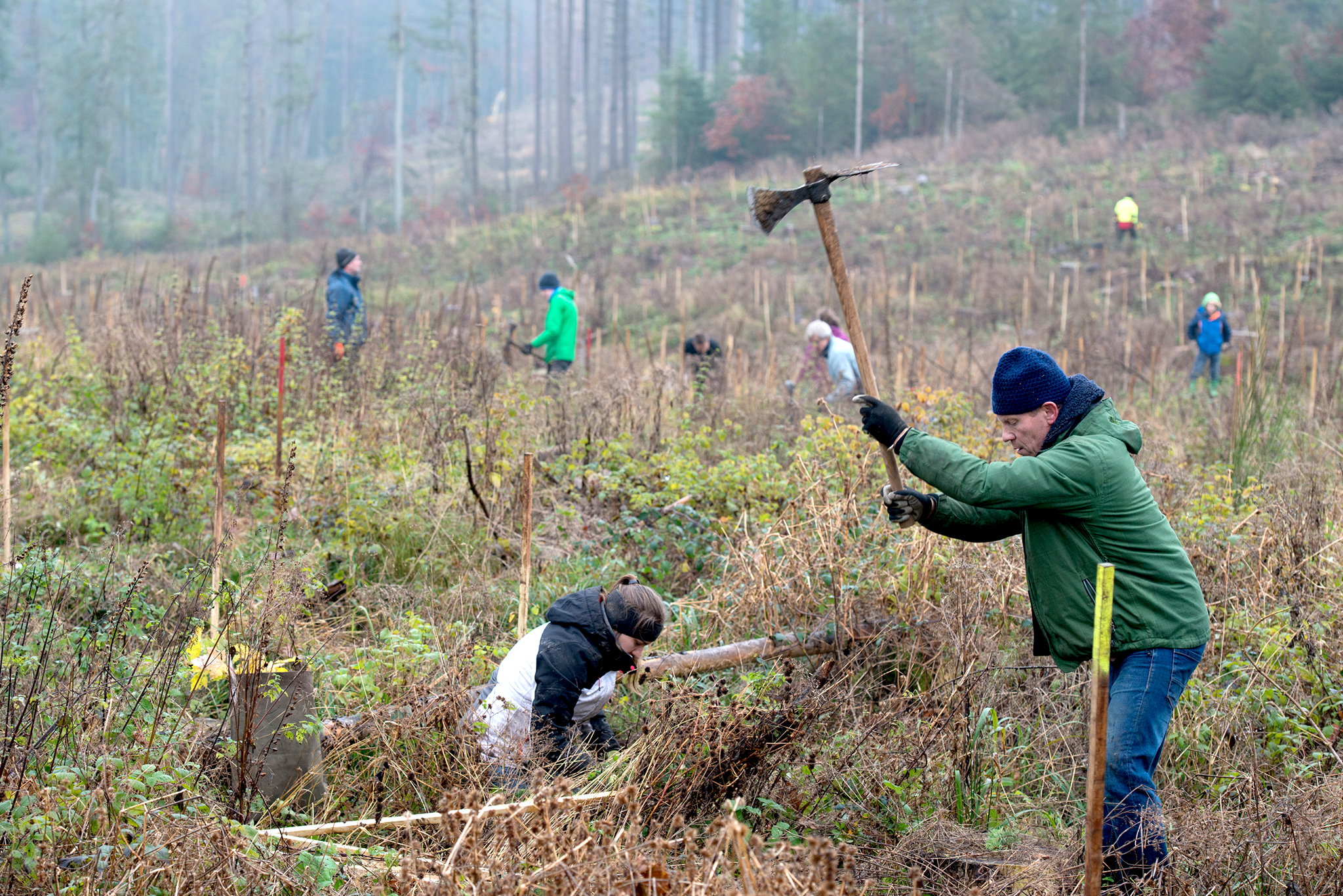 Fläche_NHF_Taunus_Bergwaldprojekt.jpg Pflanzfläche mit fleißigen Teilnehmenden