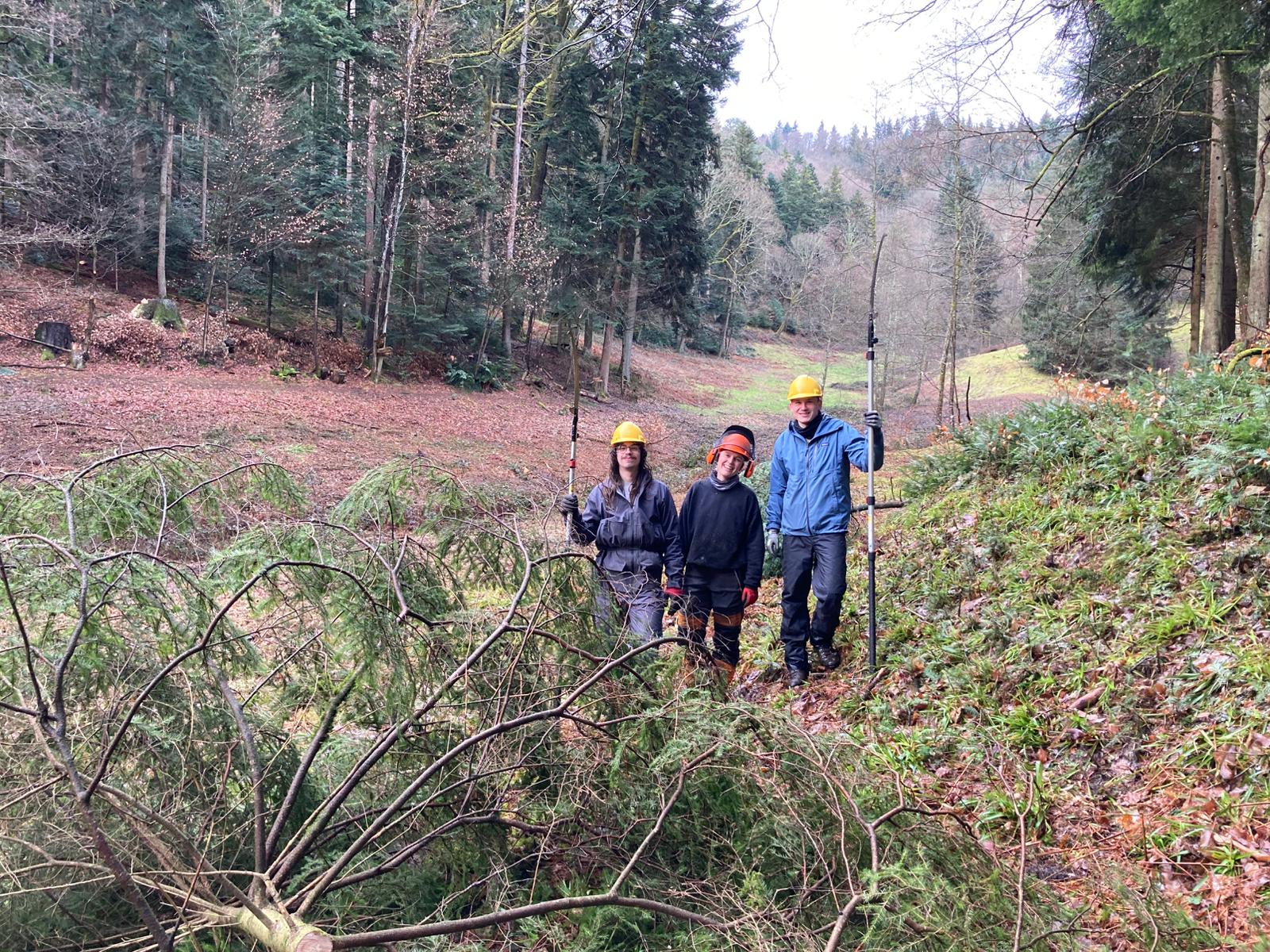 Sie wollen hoch hinaus Drei Personen mit Hochentastungssägen
