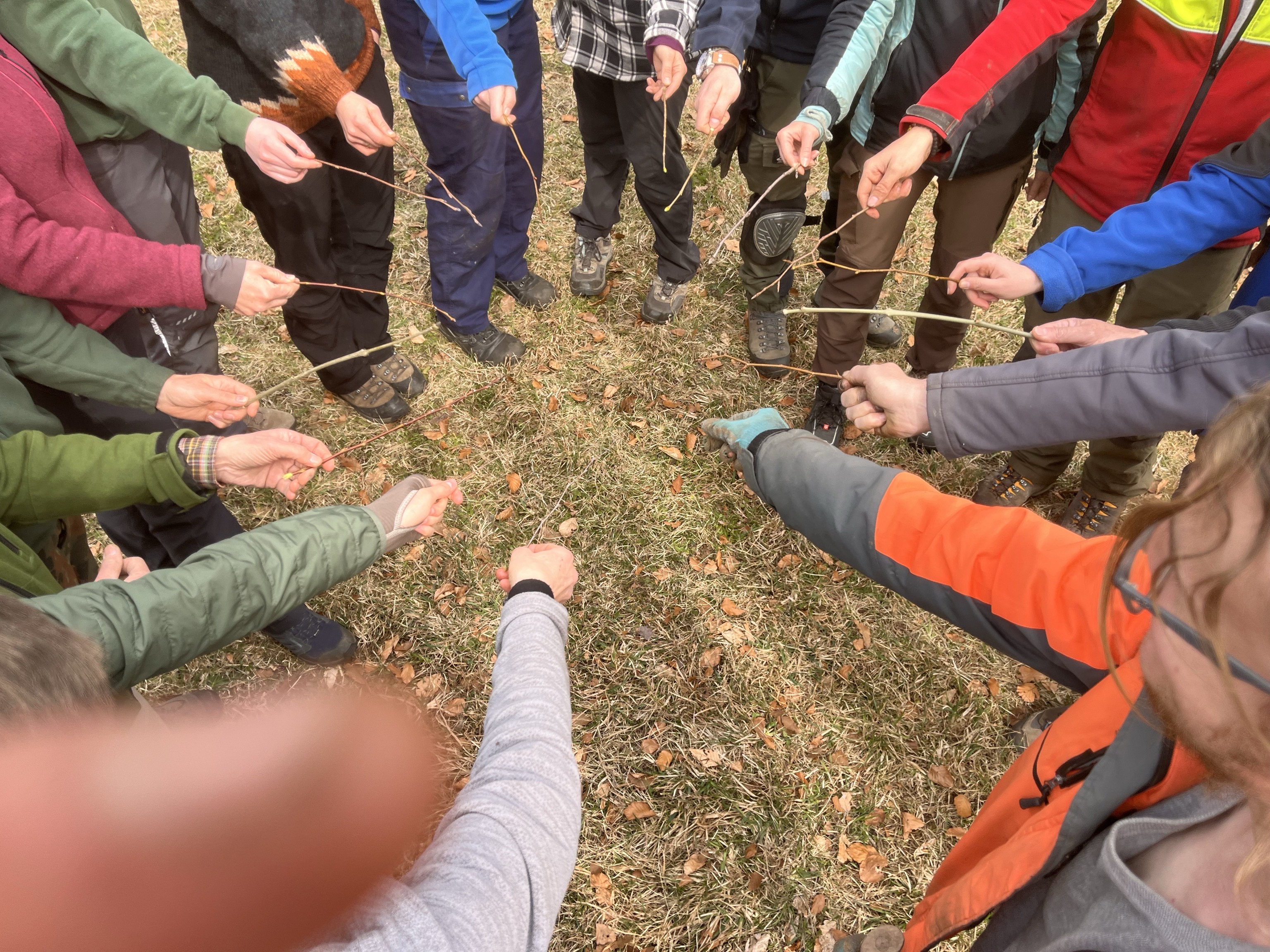 Personen stehen im Kreis und zeigen Äste