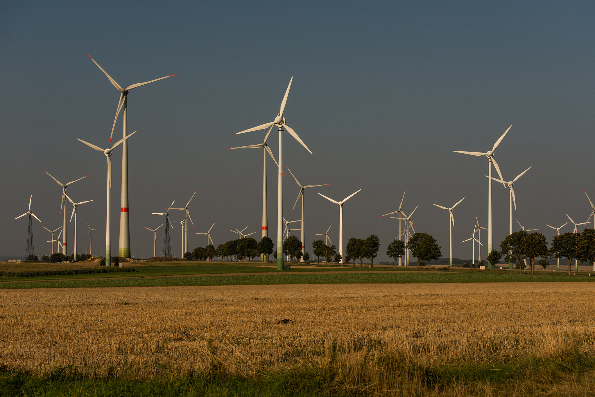 Windkraftanlagen stehen auf einem Feld