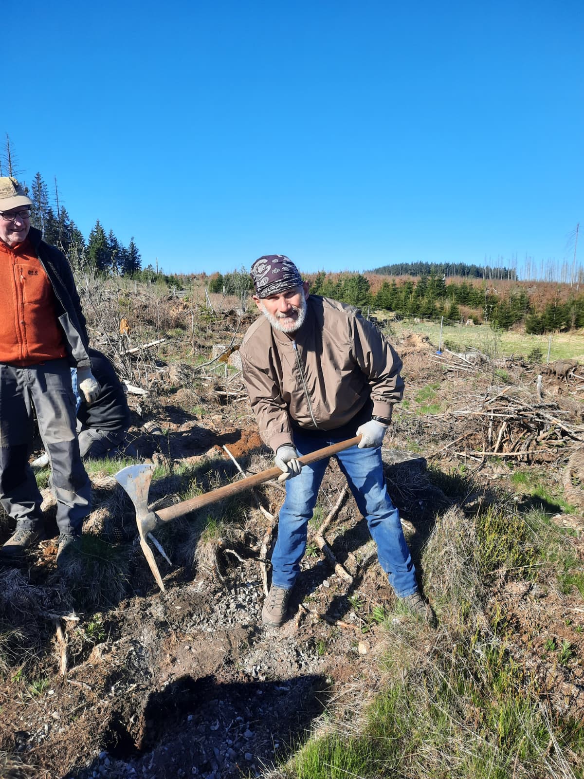 Person pflanzt einen Baum