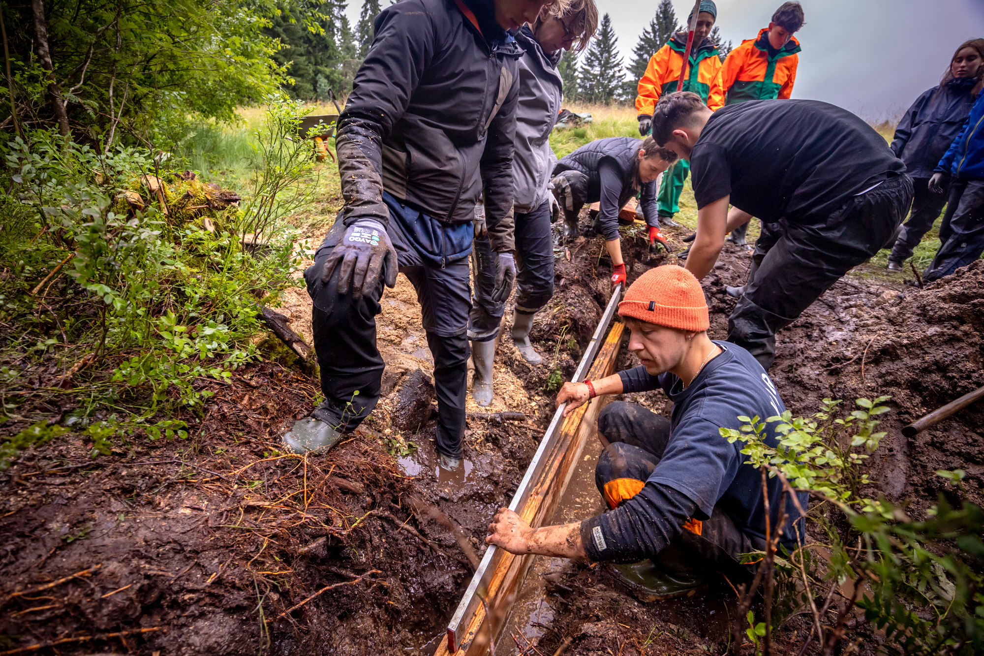 BWP_Moorwiedervernässung_Triberg.jpg Freiwillige bauen Spuntwand ein