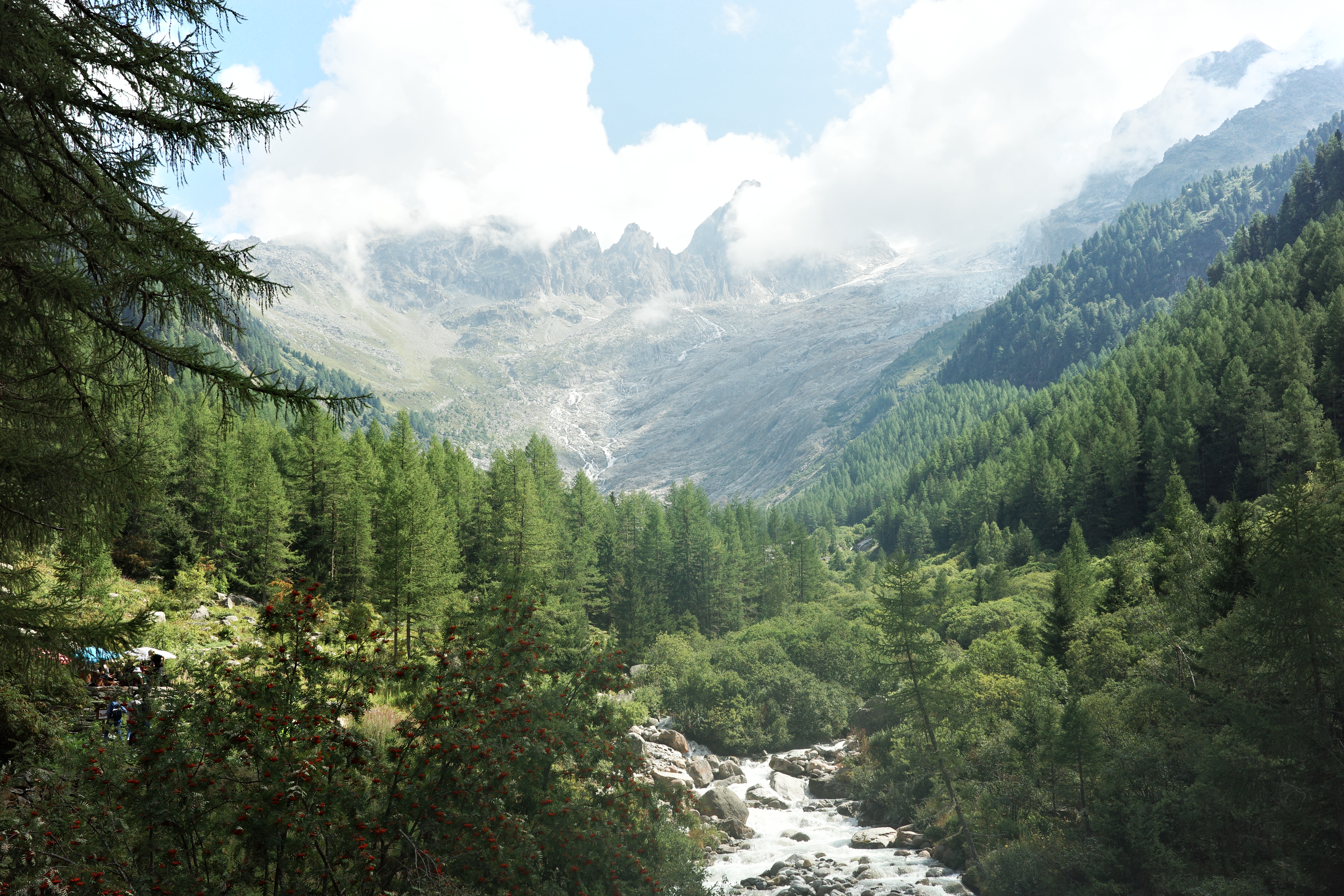 Berglandschaft mit Wald und Fluss