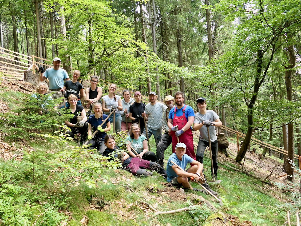 Netzlingpflanzerinnen im Zukunftswald Eine Gruppe Menschen steht quer zum Hang im Wald
